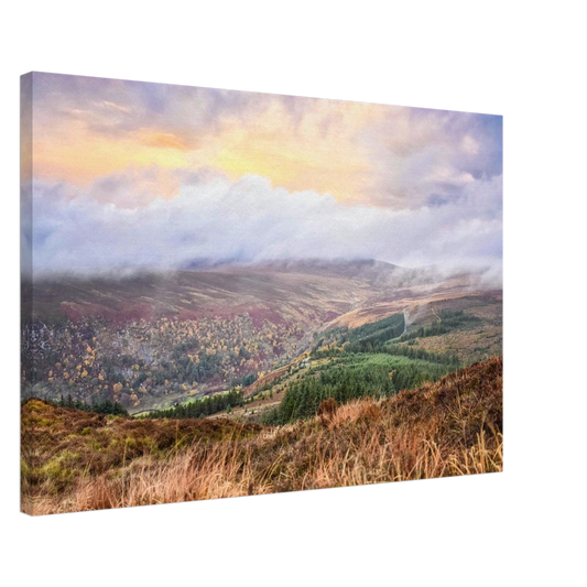 c7207fe0-c941-45e2-b8f8-4b103da60dfc