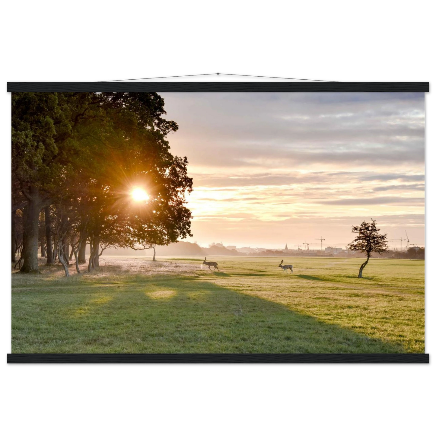 c79611dd-d441-45fe-ba1d-137c0f9d5134