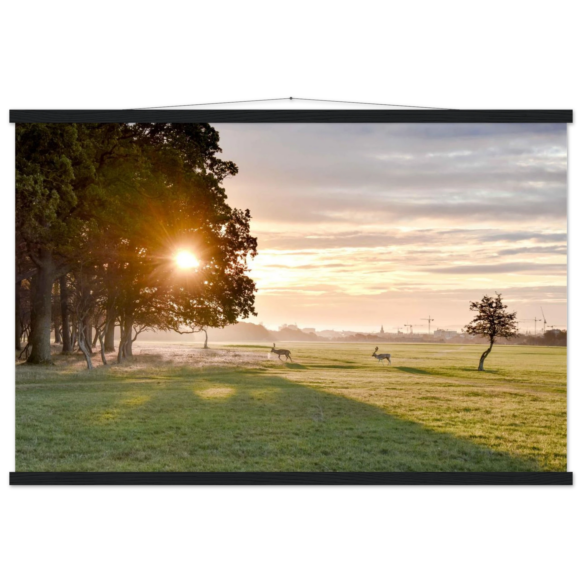 c79611dd-d441-45fe-ba1d-137c0f9d5134