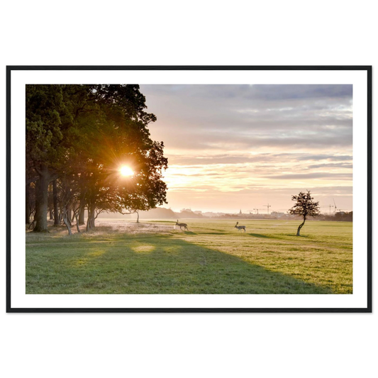 c7aca364-bd7b-420c-a51a-ac0da6874501