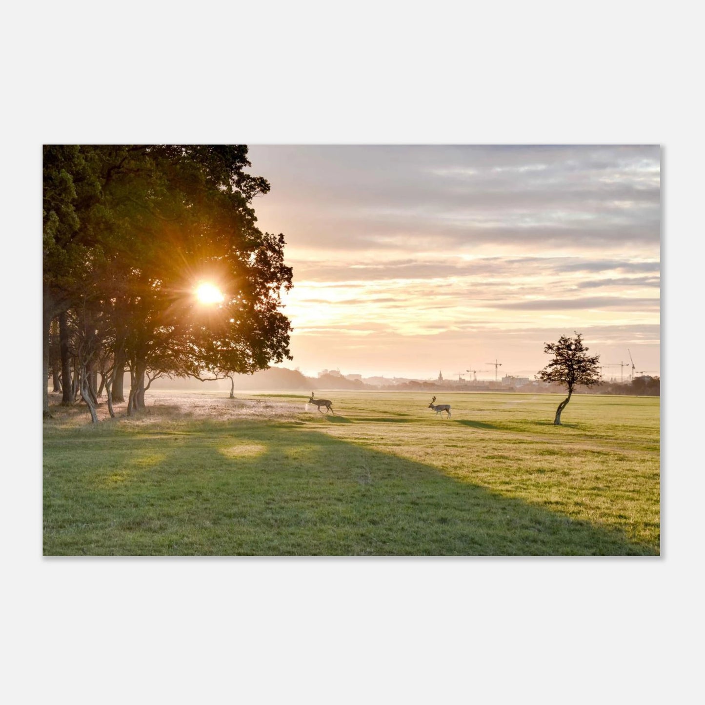 c7b947c5-cd08-47af-9ead-6288ef5cb8be