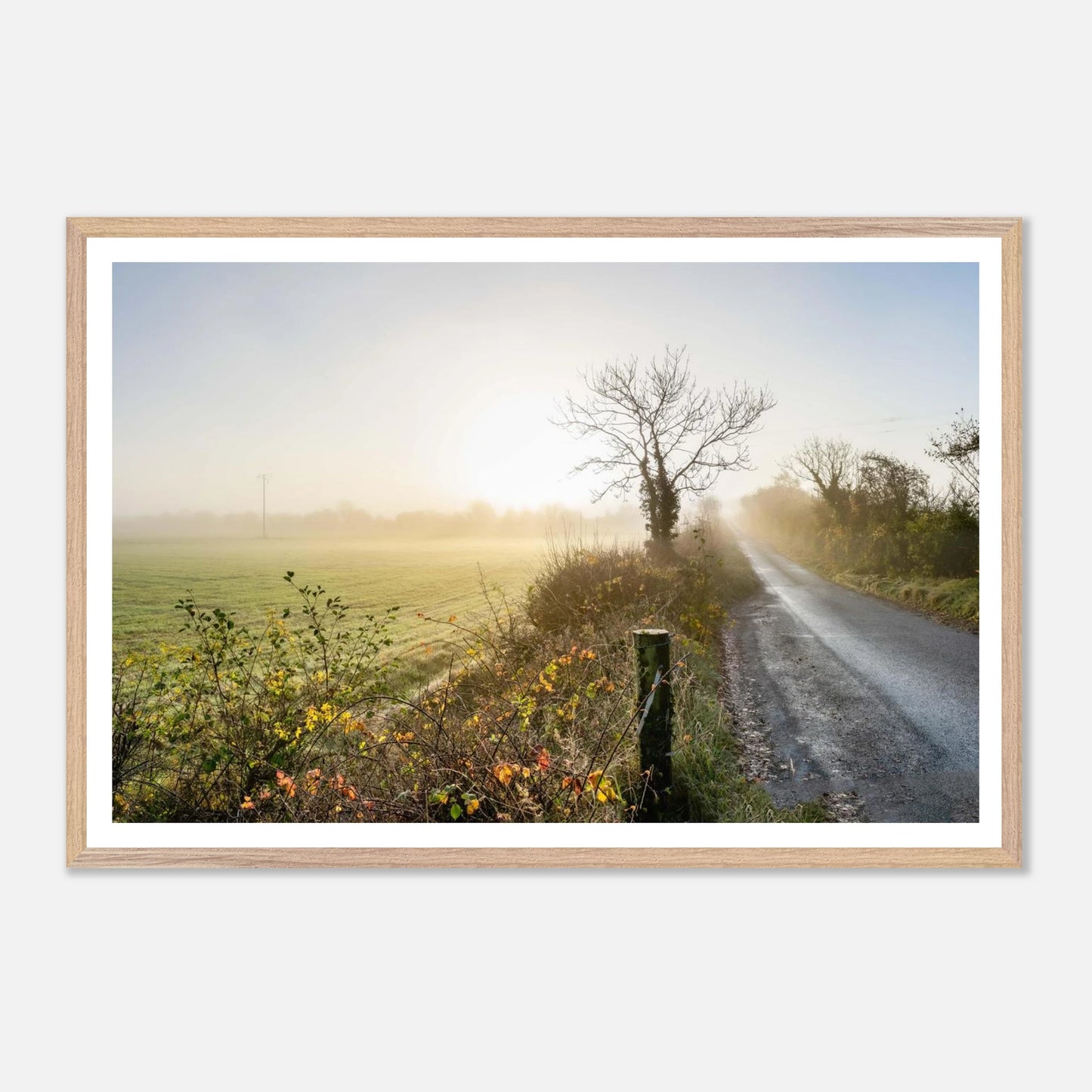 c7c17cf6-0cd7-4300-bc4c-e74c611efec2