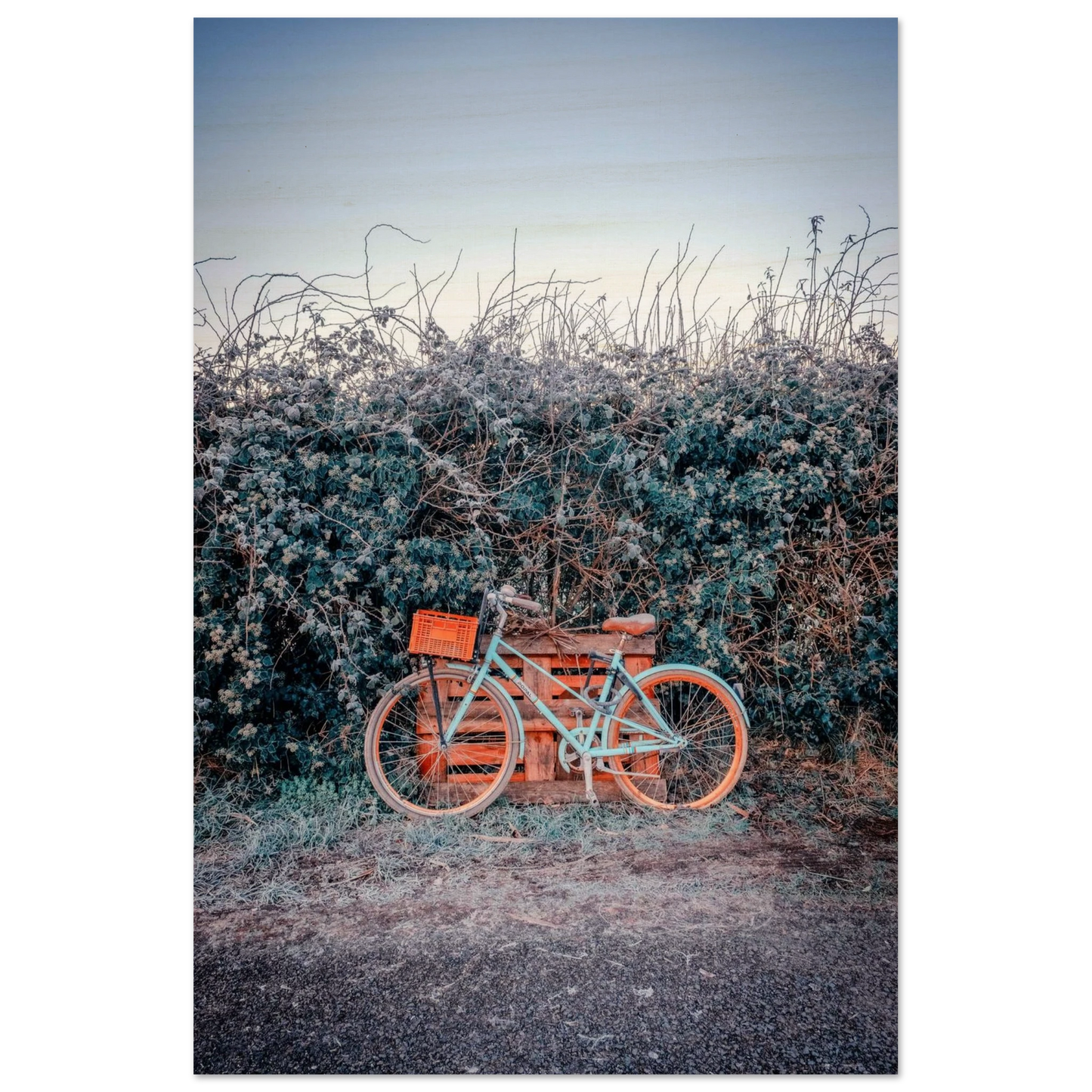 c7e06349-a330-4ae7-b1d0-17e8e9904b81