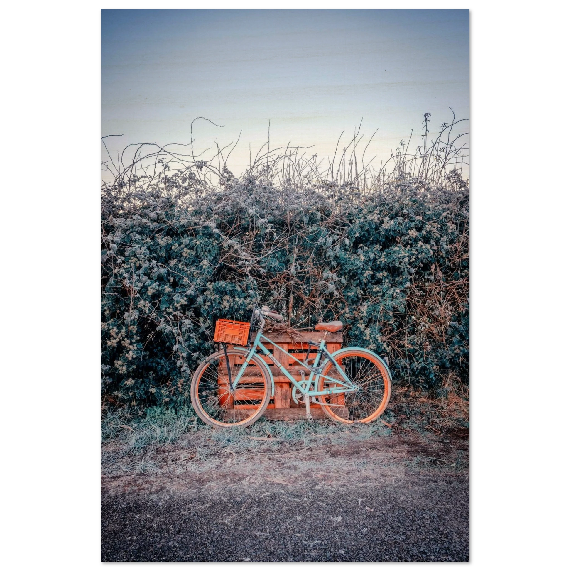 c7e06349-a330-4ae7-b1d0-17e8e9904b81