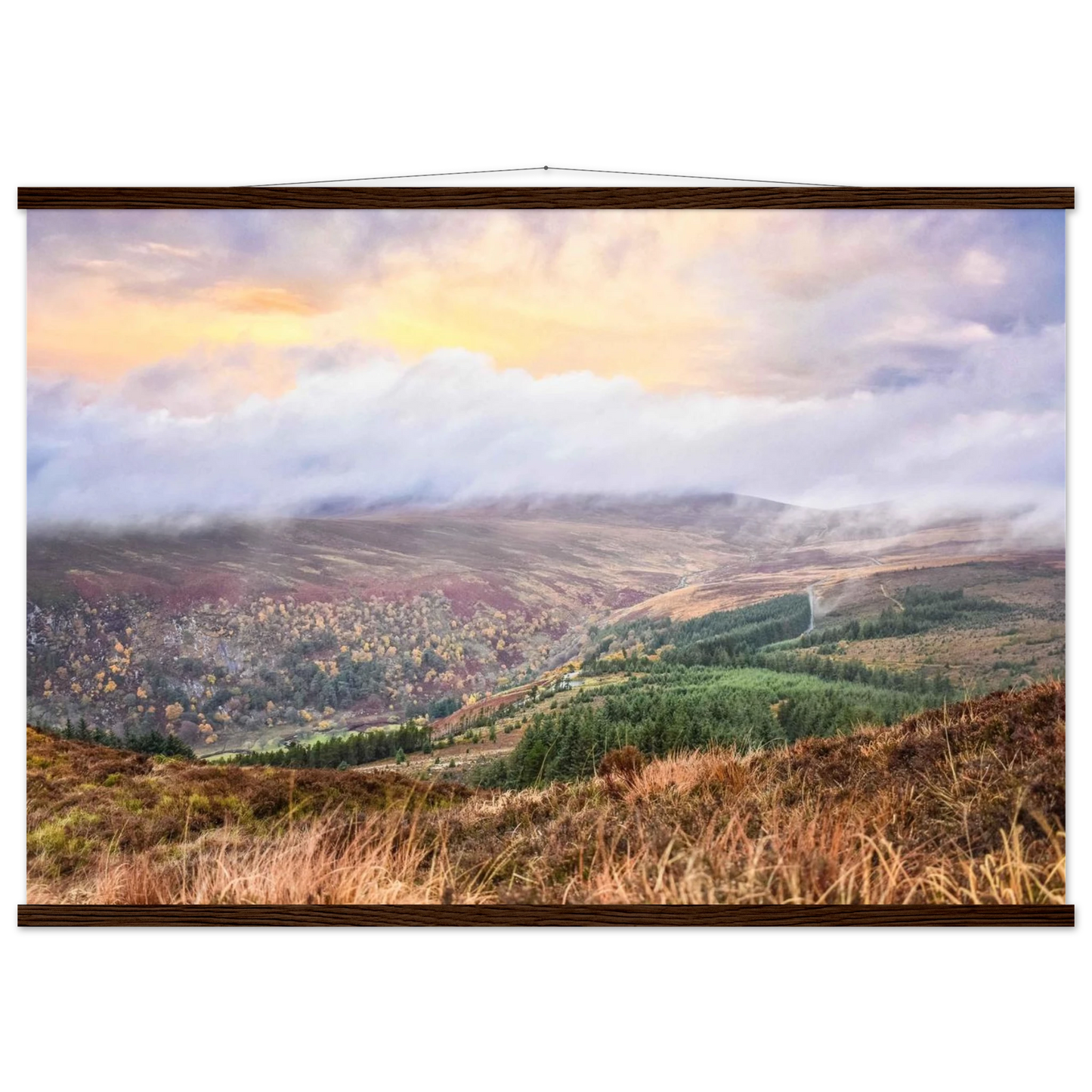 c8271d7f-fac7-49f0-ba44-133ec58de205