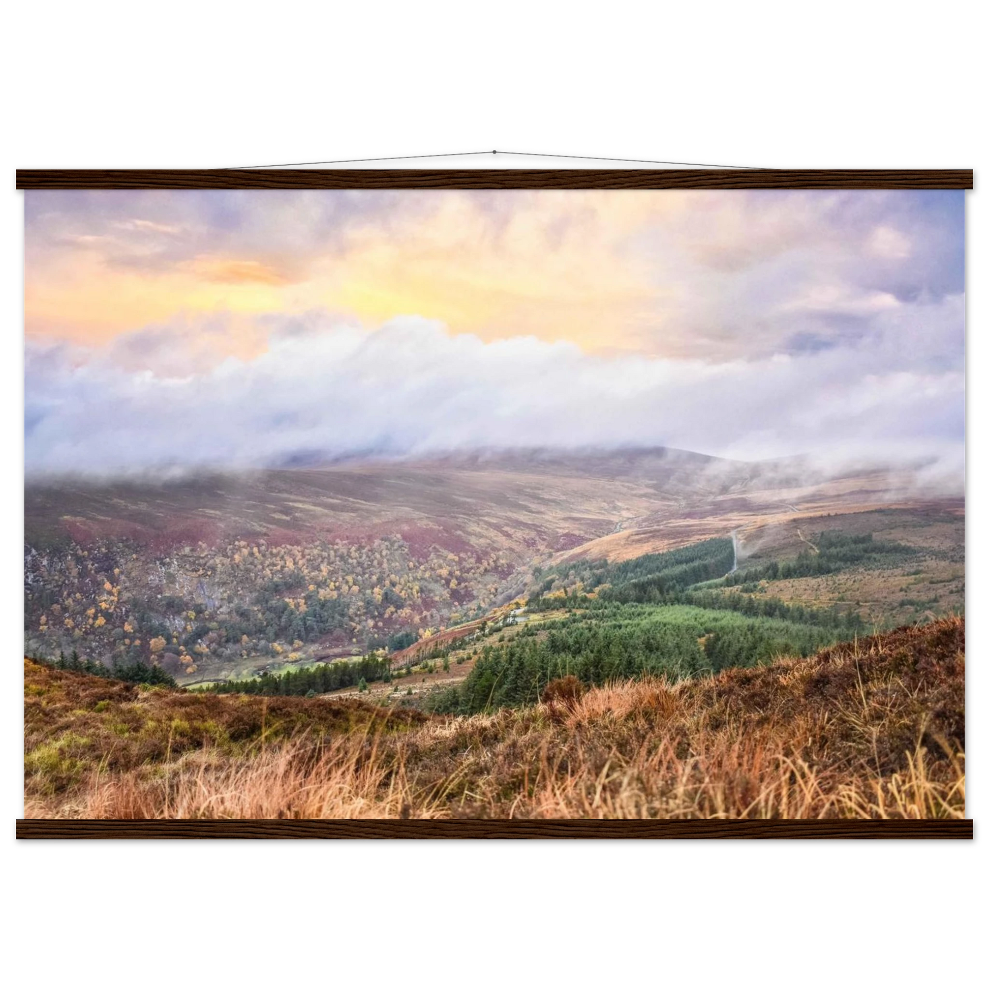 c8271d7f-fac7-49f0-ba44-133ec58de205