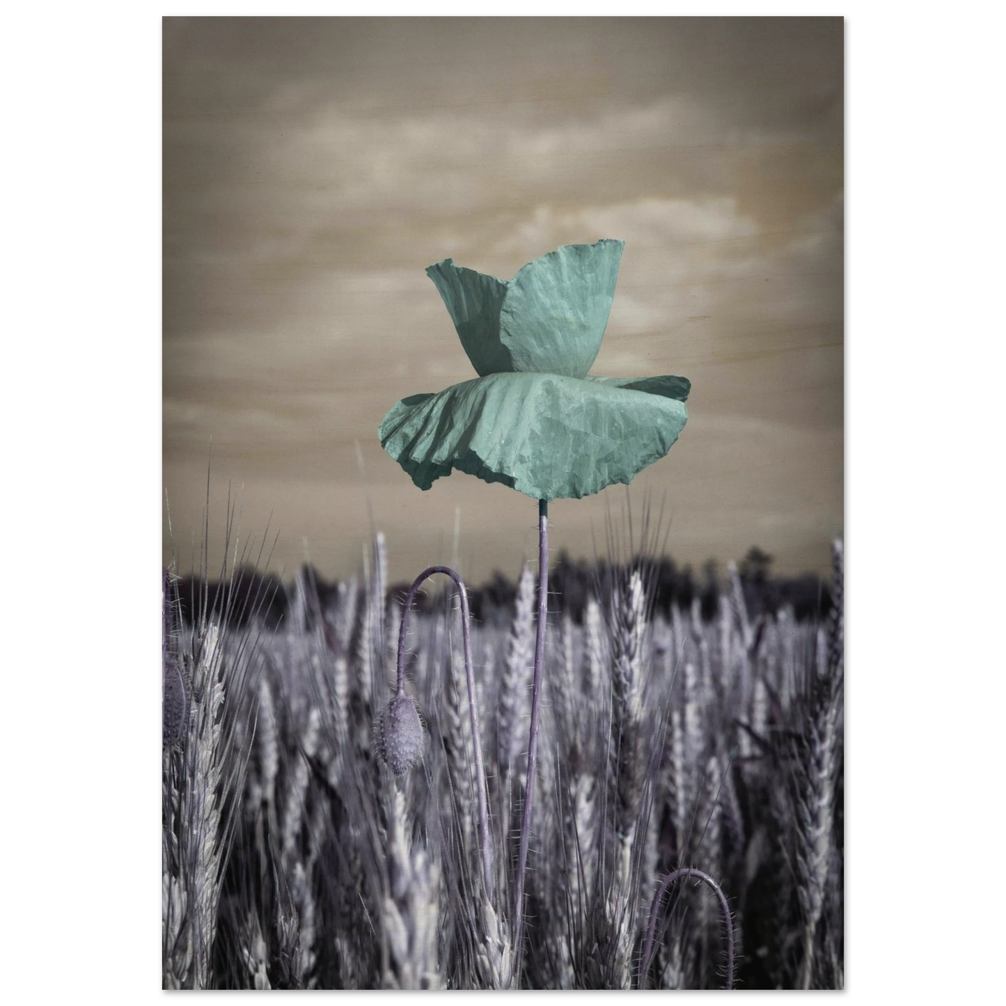 c83e18e2-a8a7-4721-88dd-c0939619b638