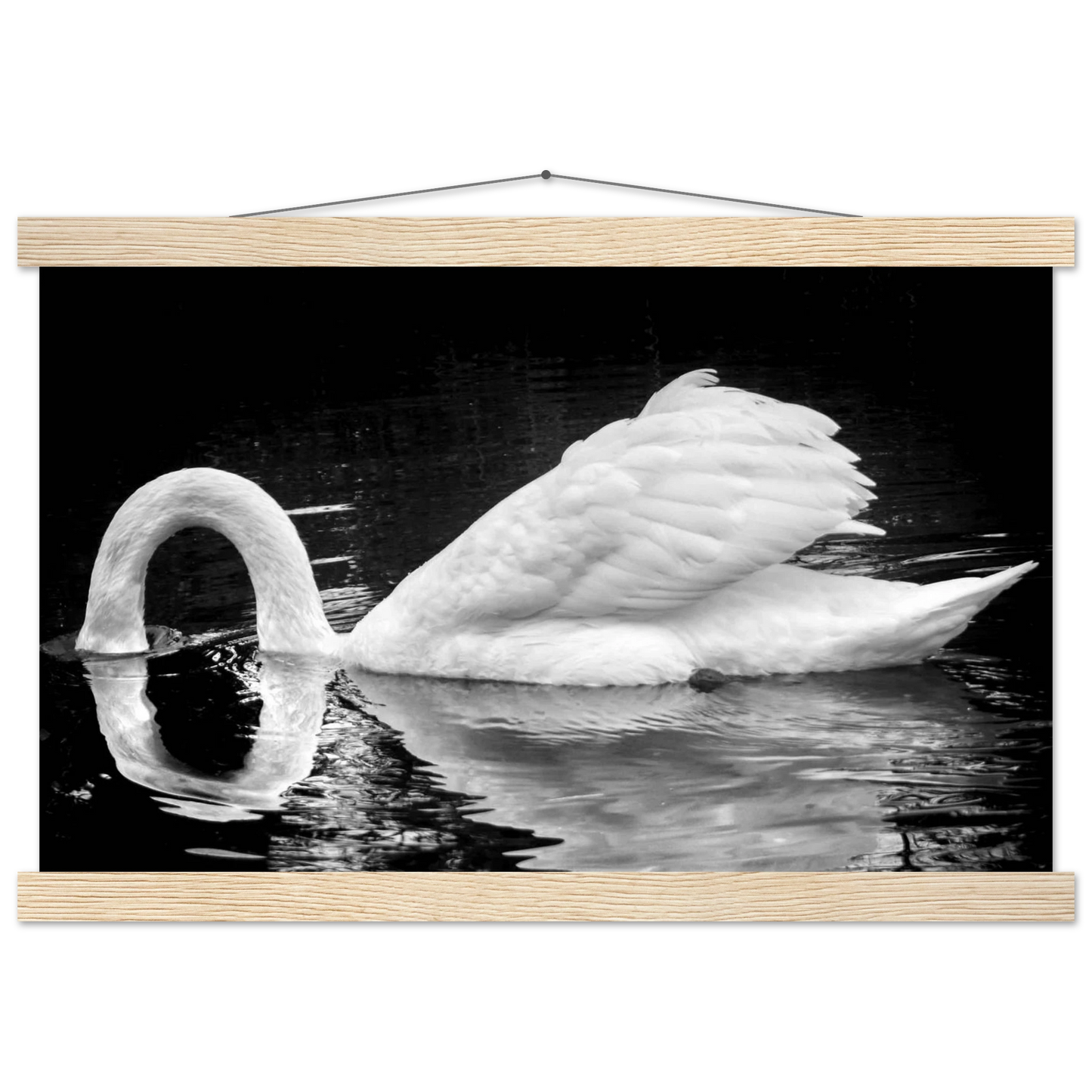 c8539c39-11b8-4343-9cda-b1095593bff9