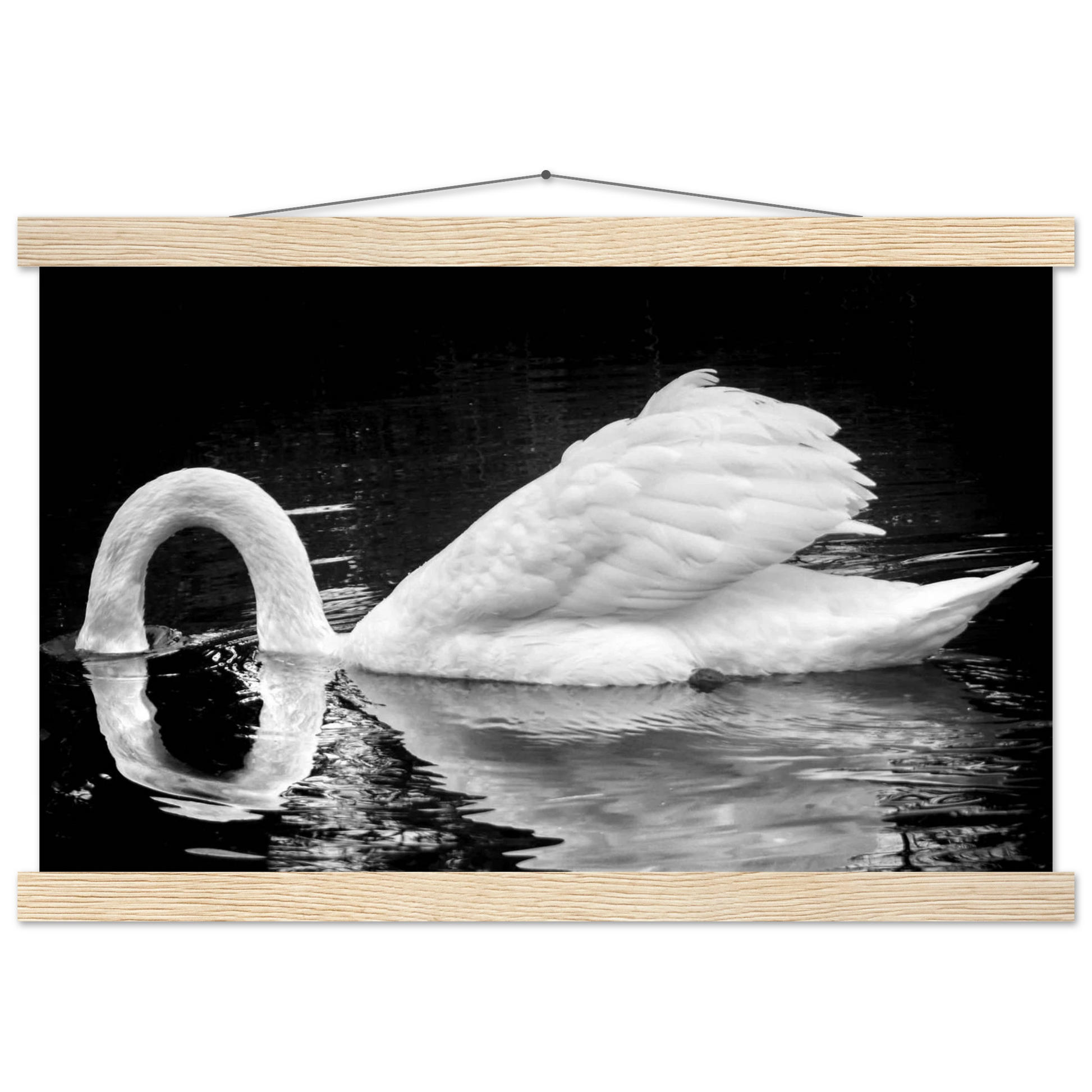 c8539c39-11b8-4343-9cda-b1095593bff9