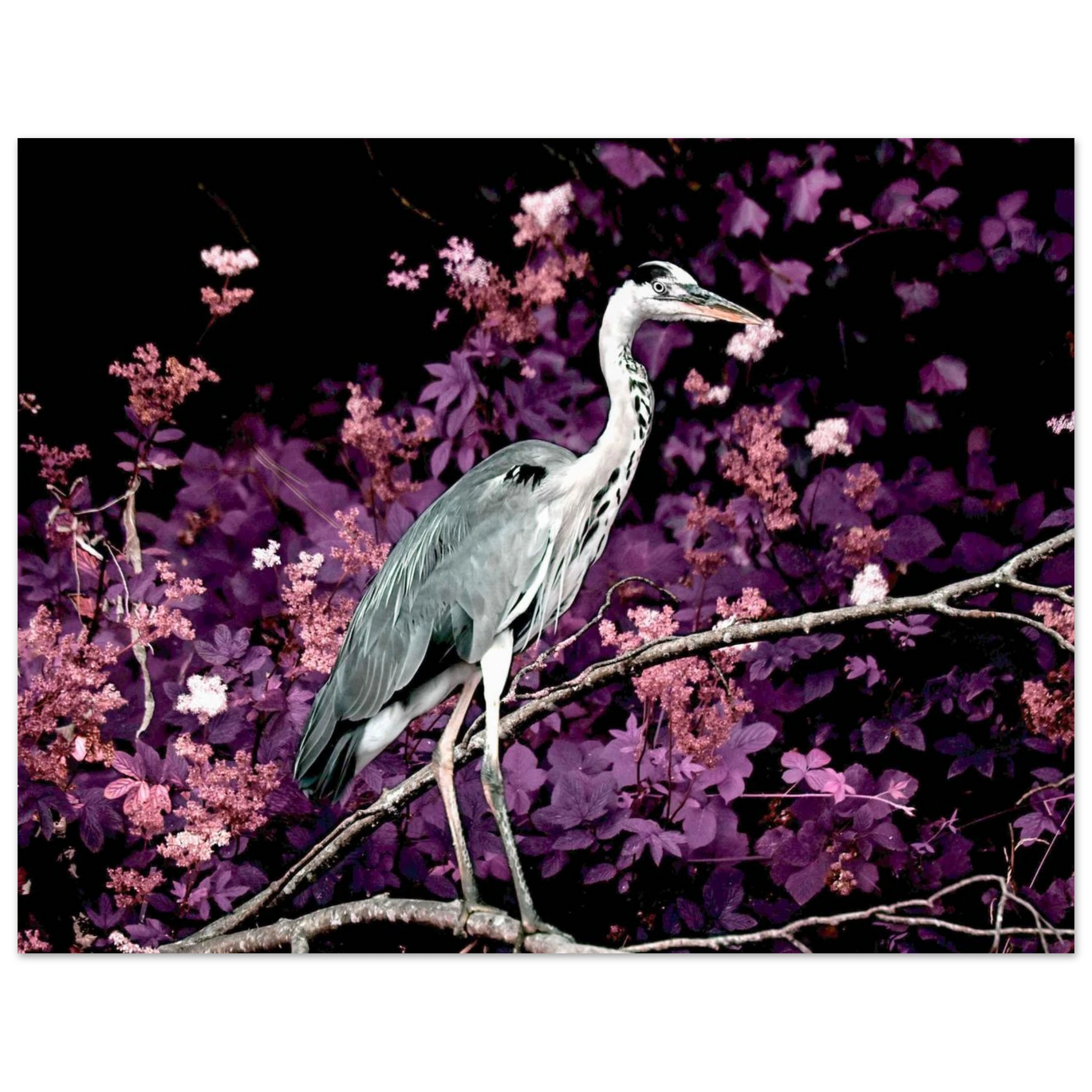 c8b89cf0-b39a-48a3-8b97-d9dc6e7c7c94