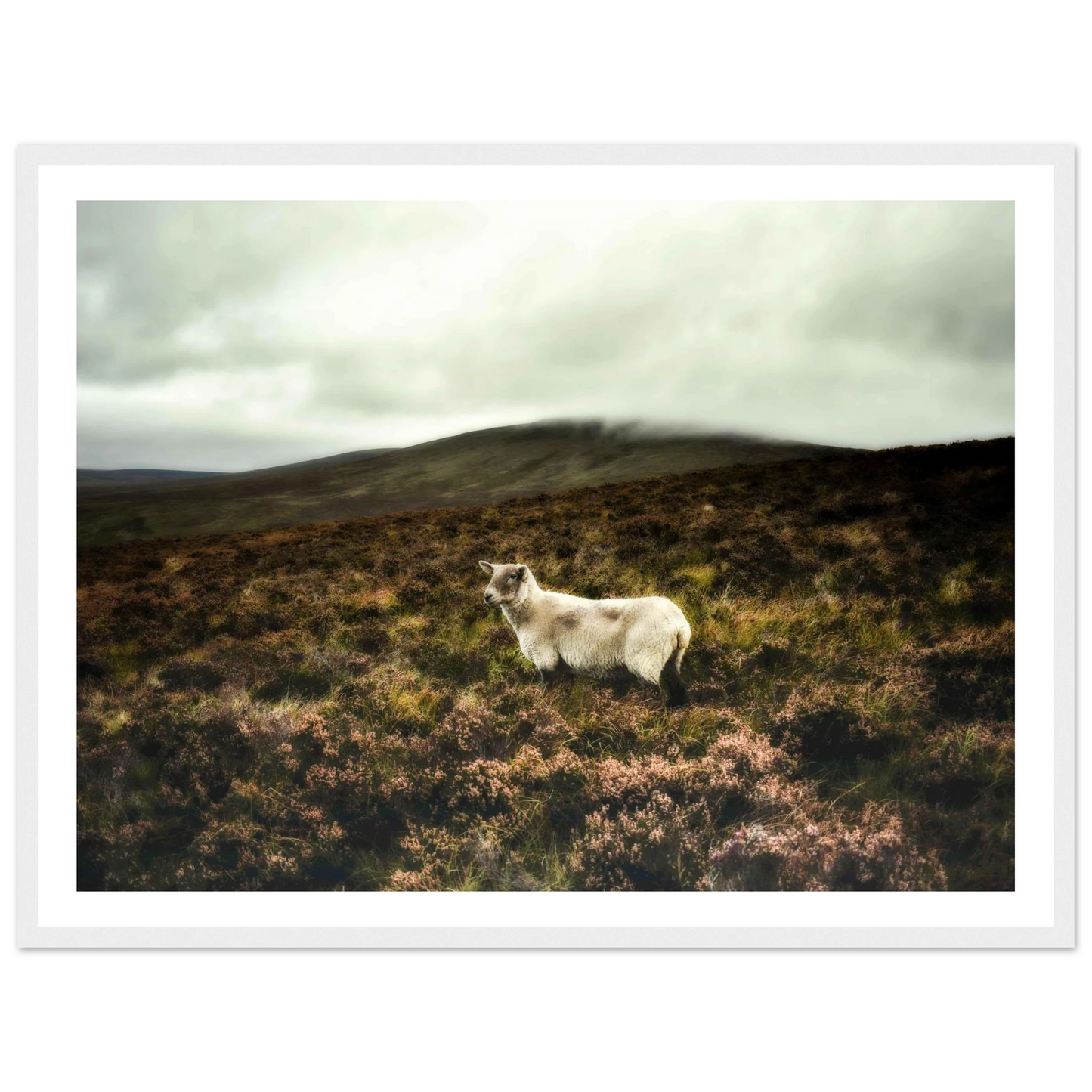 c8bd34c1-48e9-4402-b7e9-1dcda17d9702