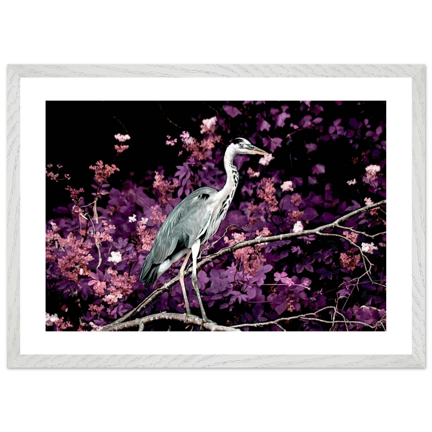 c8f1f164-172f-4060-8216-490799ac1fc3