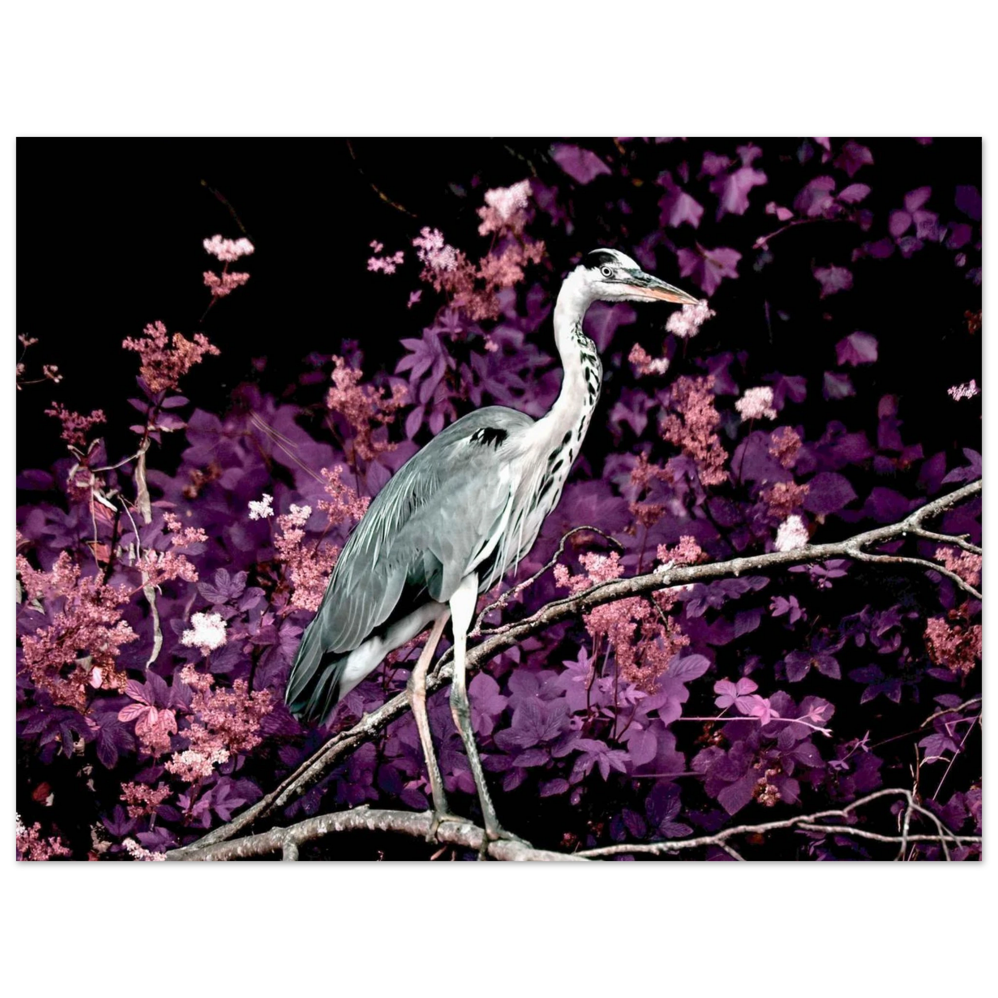 c915350e-a05d-4518-898b-f1372613af30