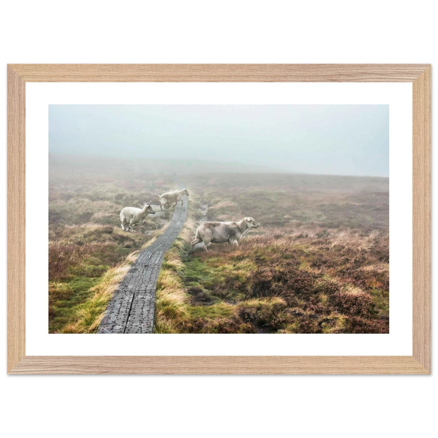 c92a43e4-ca46-4a6b-a72f-a66f95a1de40