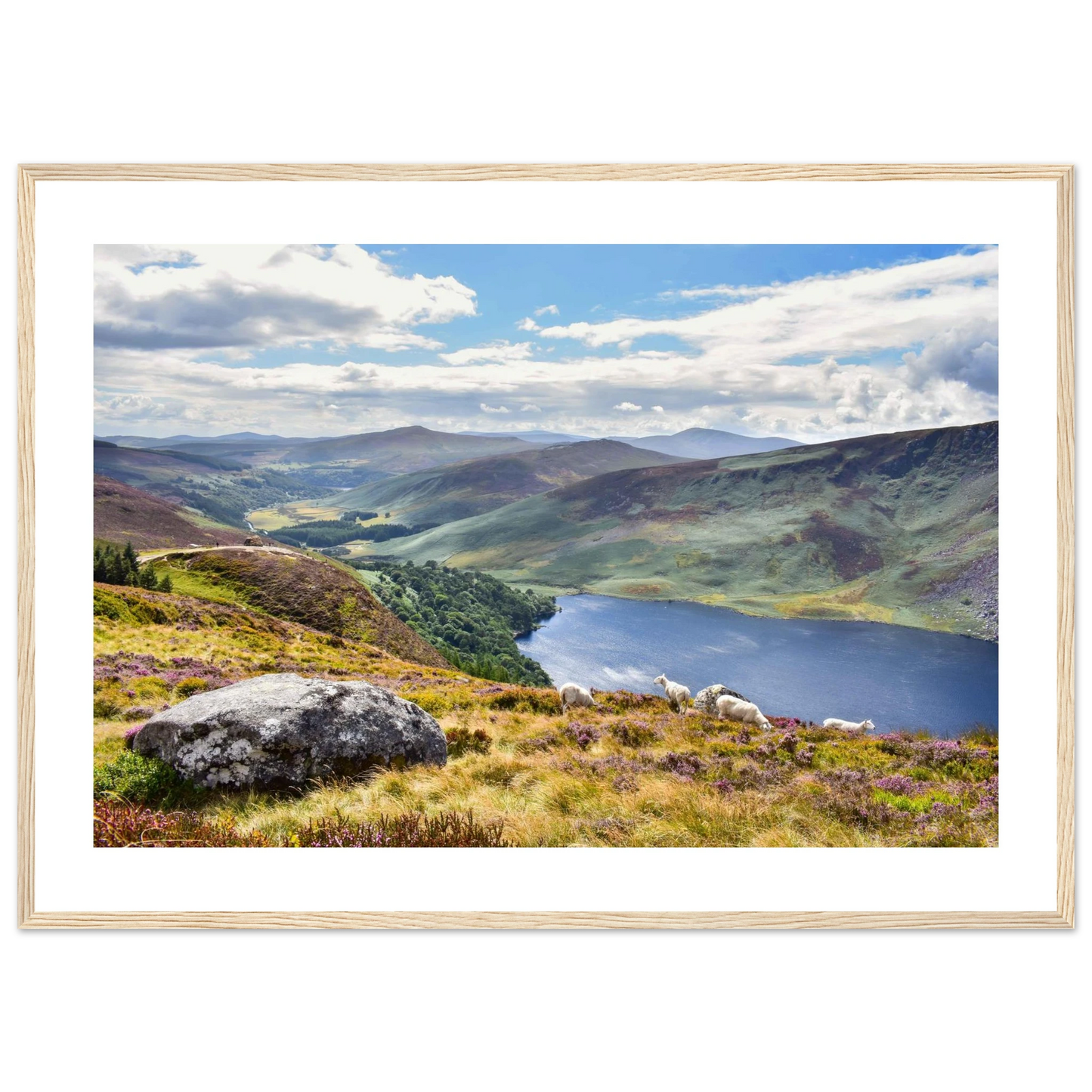 c95447c8-7b6a-412e-822f-26a0e2abc3a4