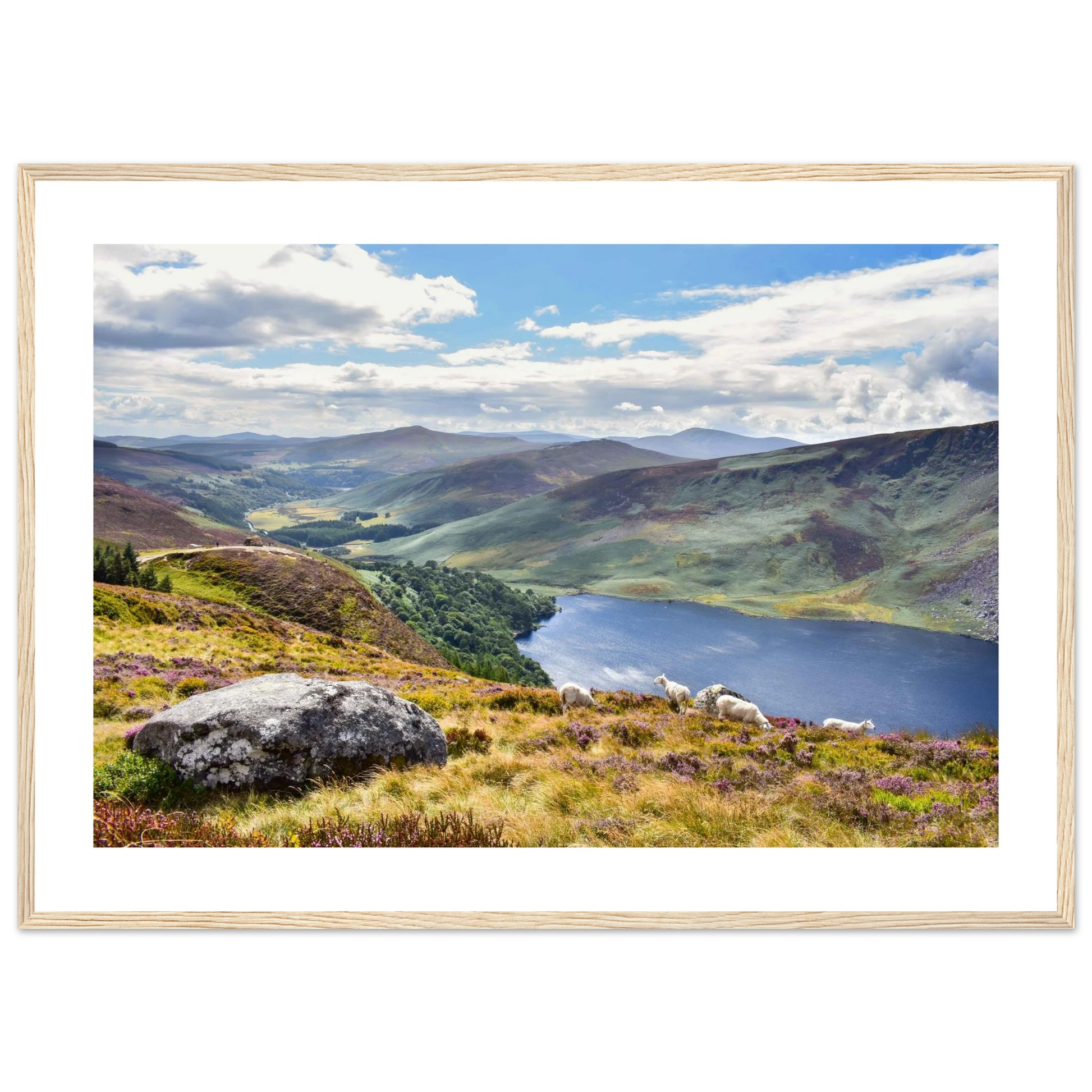 c95447c8-7b6a-412e-822f-26a0e2abc3a4