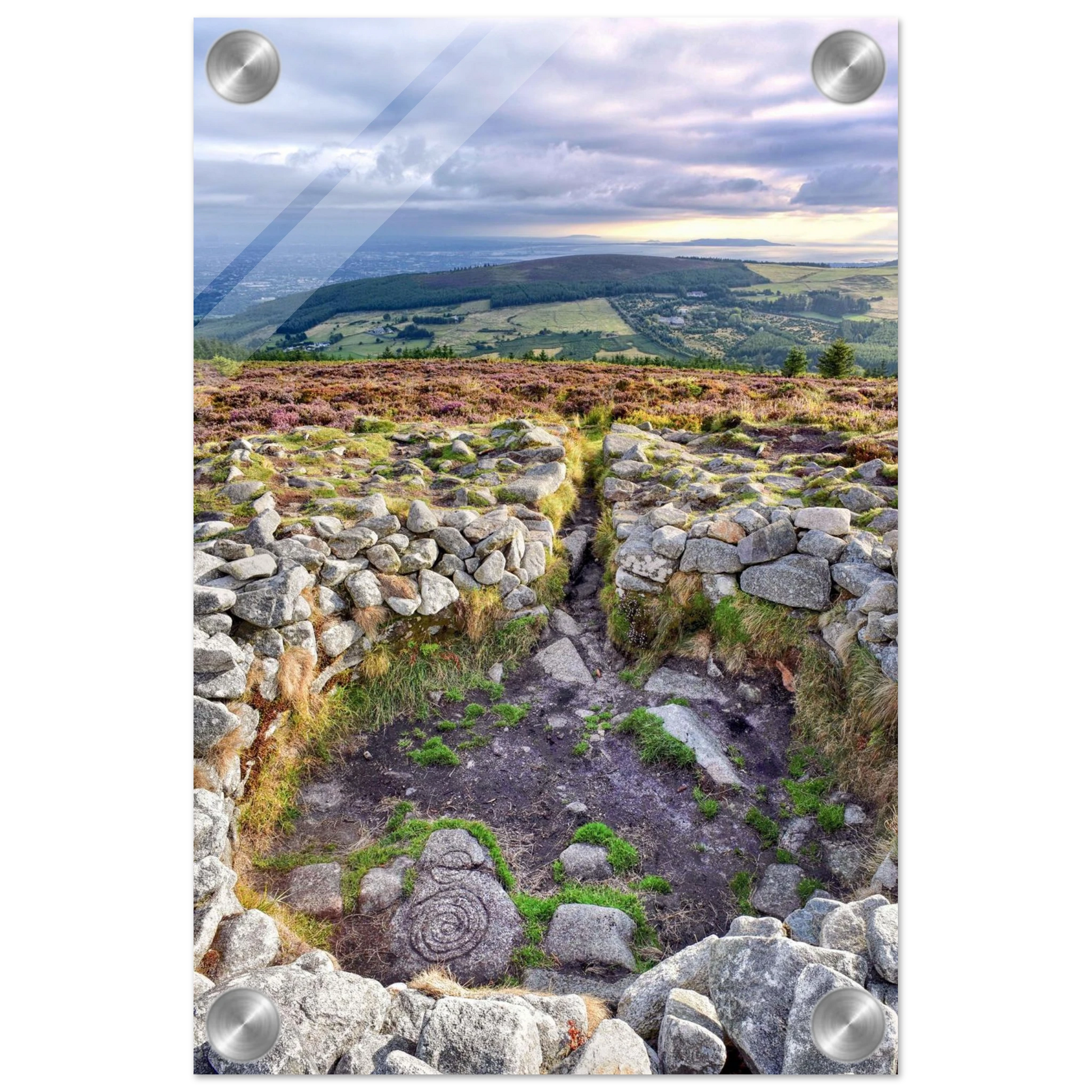 c95656f0-67f8-4782-8e79-8dc1280db5ca