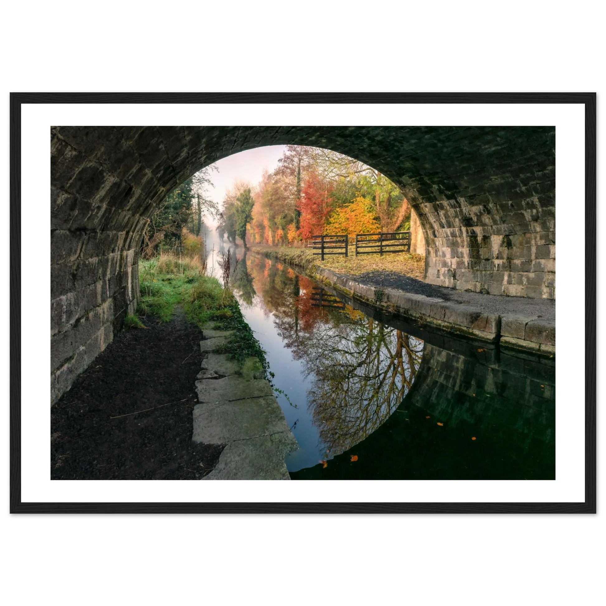 c9d744ee-82a6-4767-83f0-38b1c4d8a317