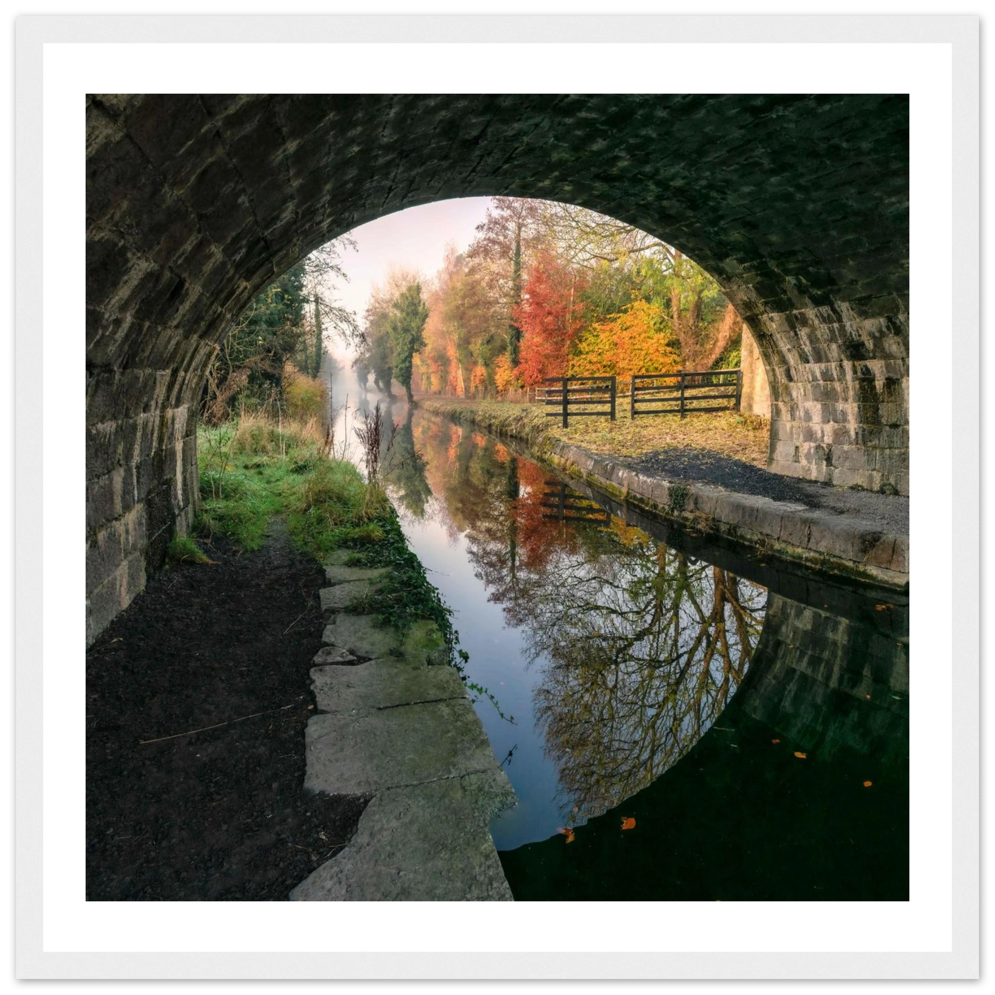 ca3967d8-0ded-4289-8a20-718fa83b7c66