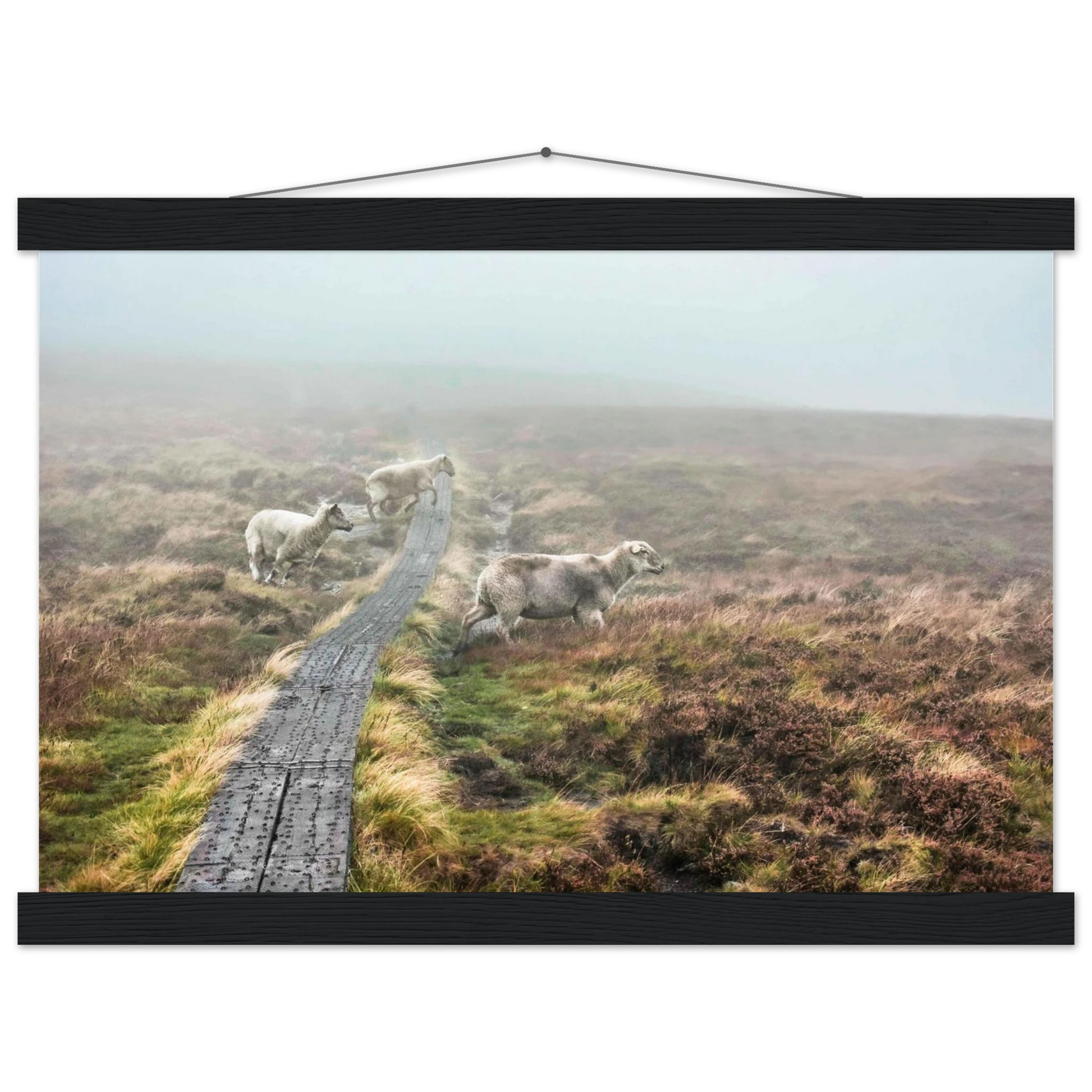 ca4f5490-987c-430e-b112-87608912b622