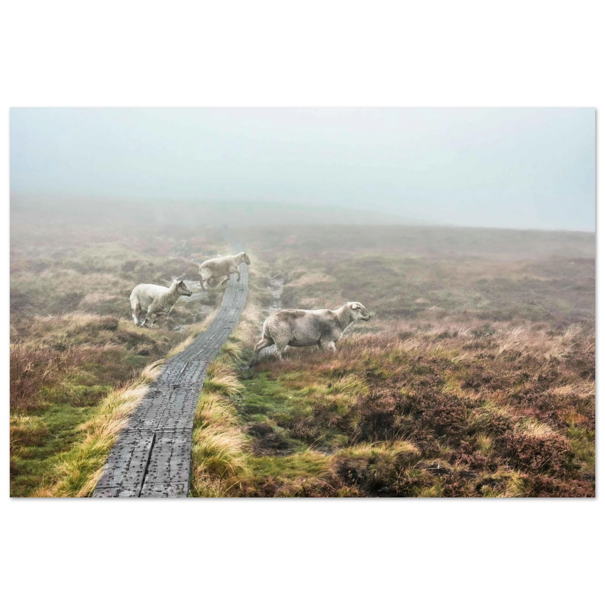 ca72b51a-7f42-4a9e-8ed6-c7005c8427cf