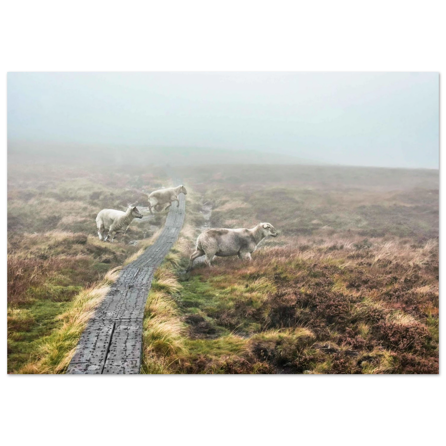 cacad22a-4bf5-4191-b49a-7b664794ee28