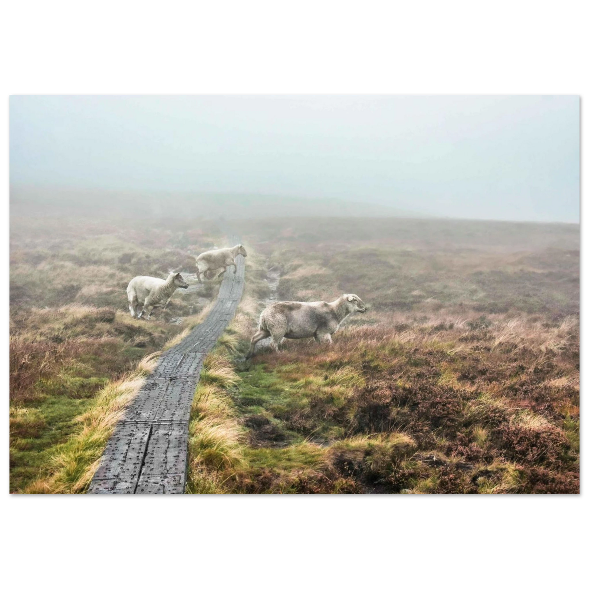 cacad22a-4bf5-4191-b49a-7b664794ee28