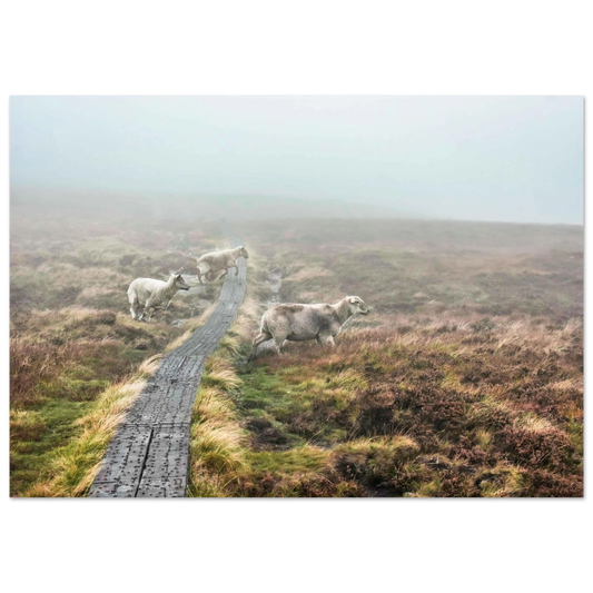 cacad22a-4bf5-4191-b49a-7b664794ee28