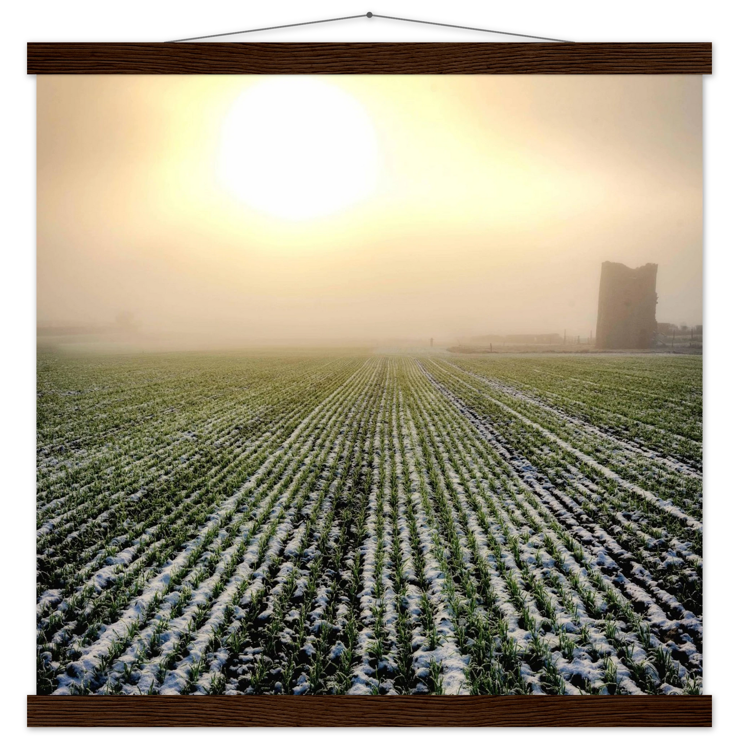 cae5e3e3-abbe-46c9-a3a6-194cca64700f