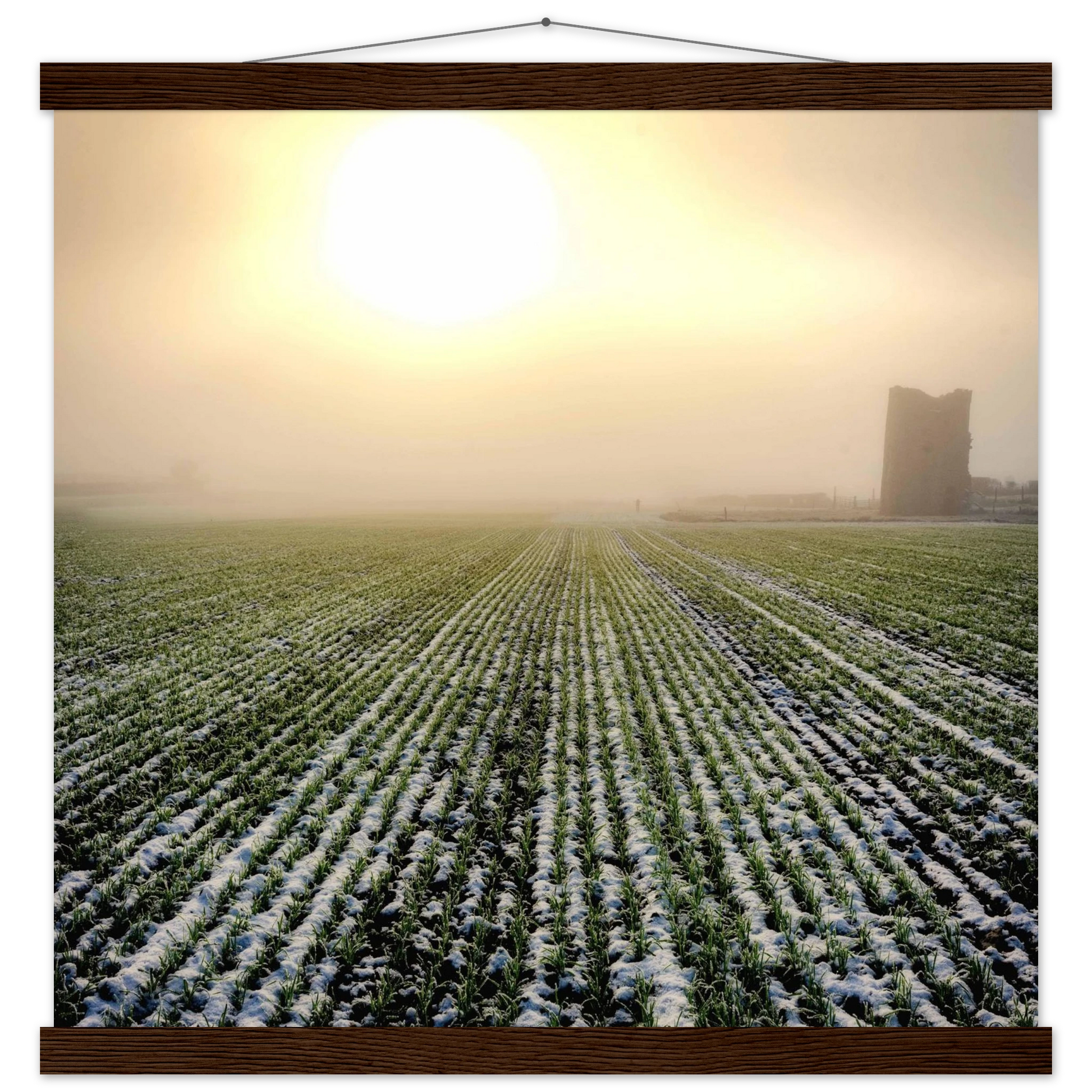 cae5e3e3-abbe-46c9-a3a6-194cca64700f