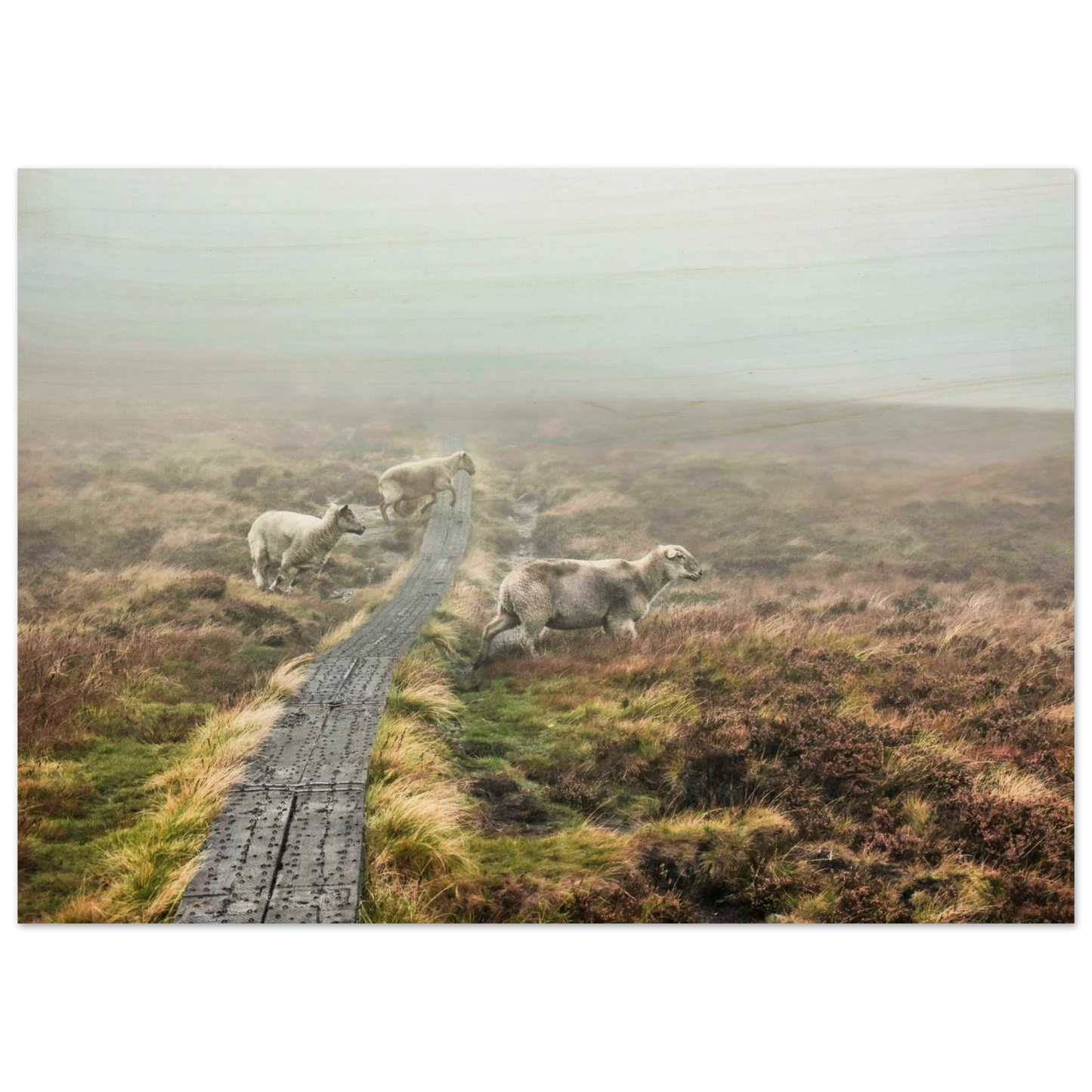 cb179e6b-84c8-4ce1-a47a-2e5fc06f74a8