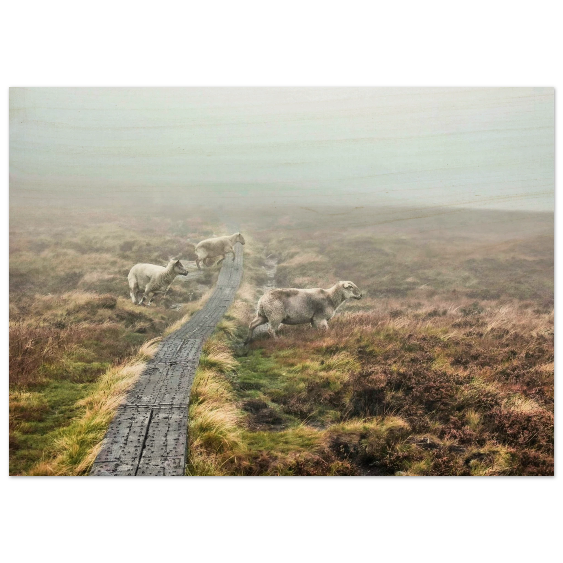 cb179e6b-84c8-4ce1-a47a-2e5fc06f74a8