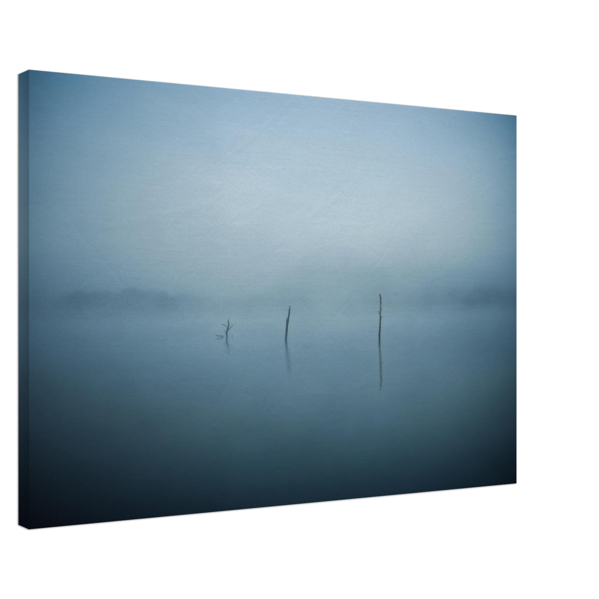 cb376f5c-71a5-4d17-9d8a-3287356f479d