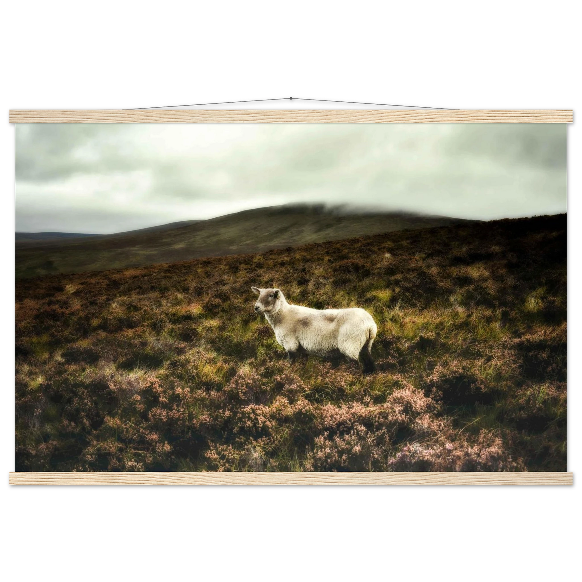 cb695acf-0e60-4300-8e96-ef315ac1db23