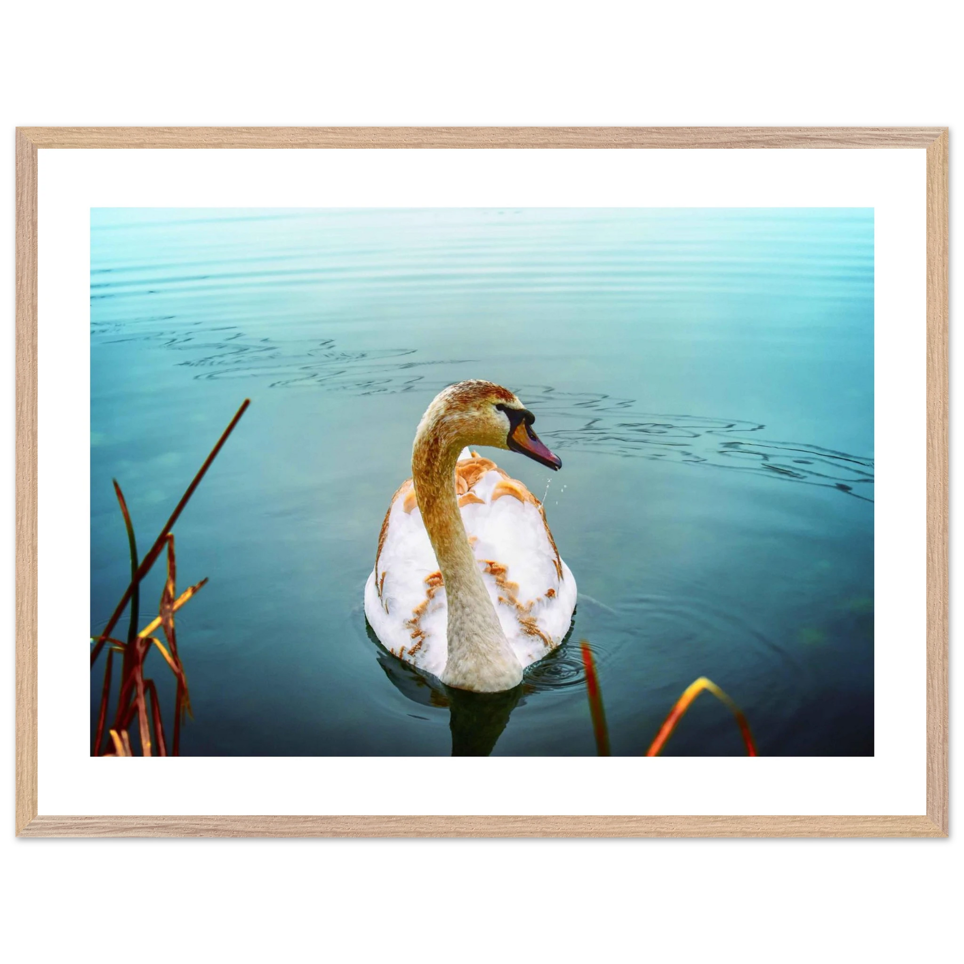 cb9bdcf9-b59f-4bb0-82e3-6813cdc12f95