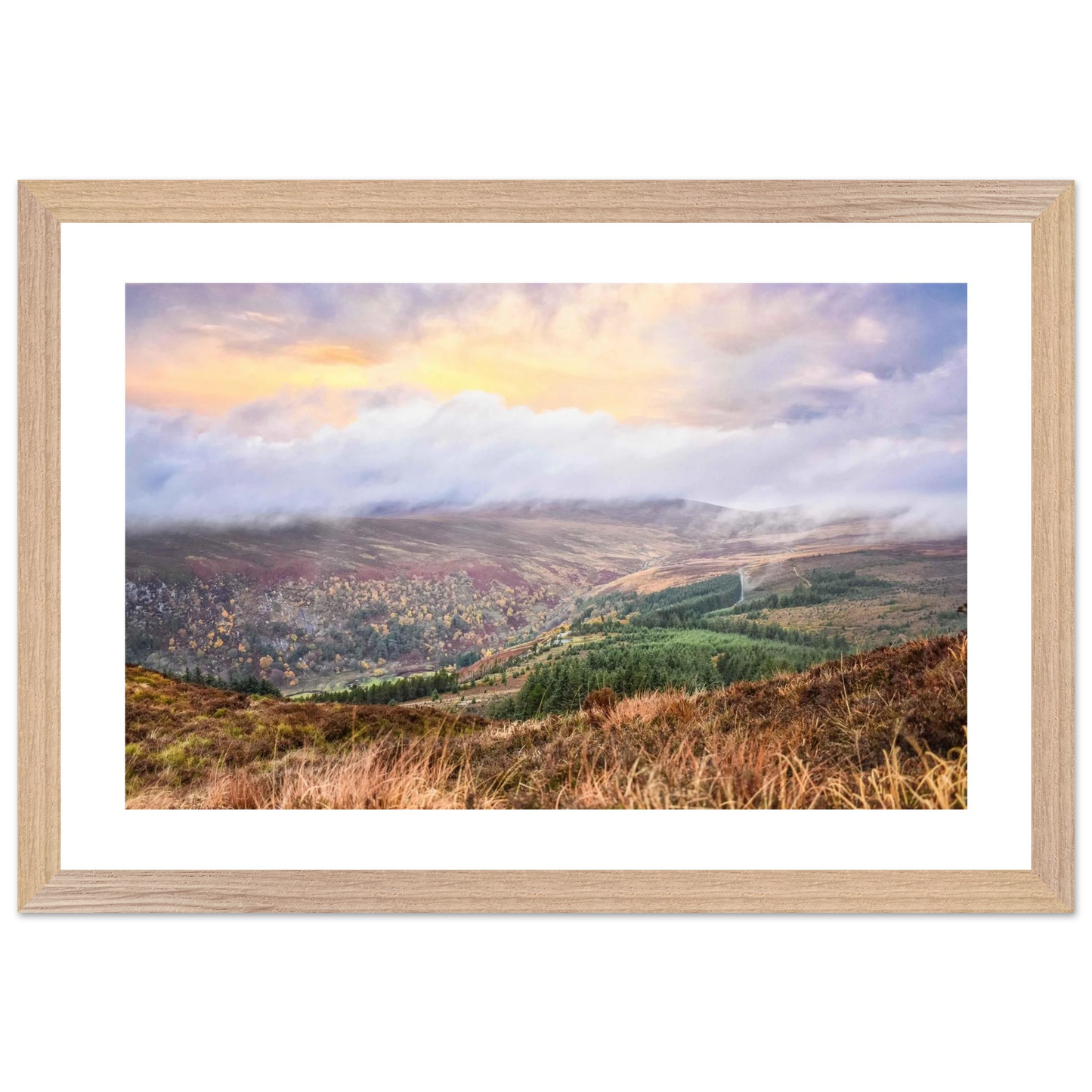 cc543f2d-f517-4845-a7a1-dfaab8fad695