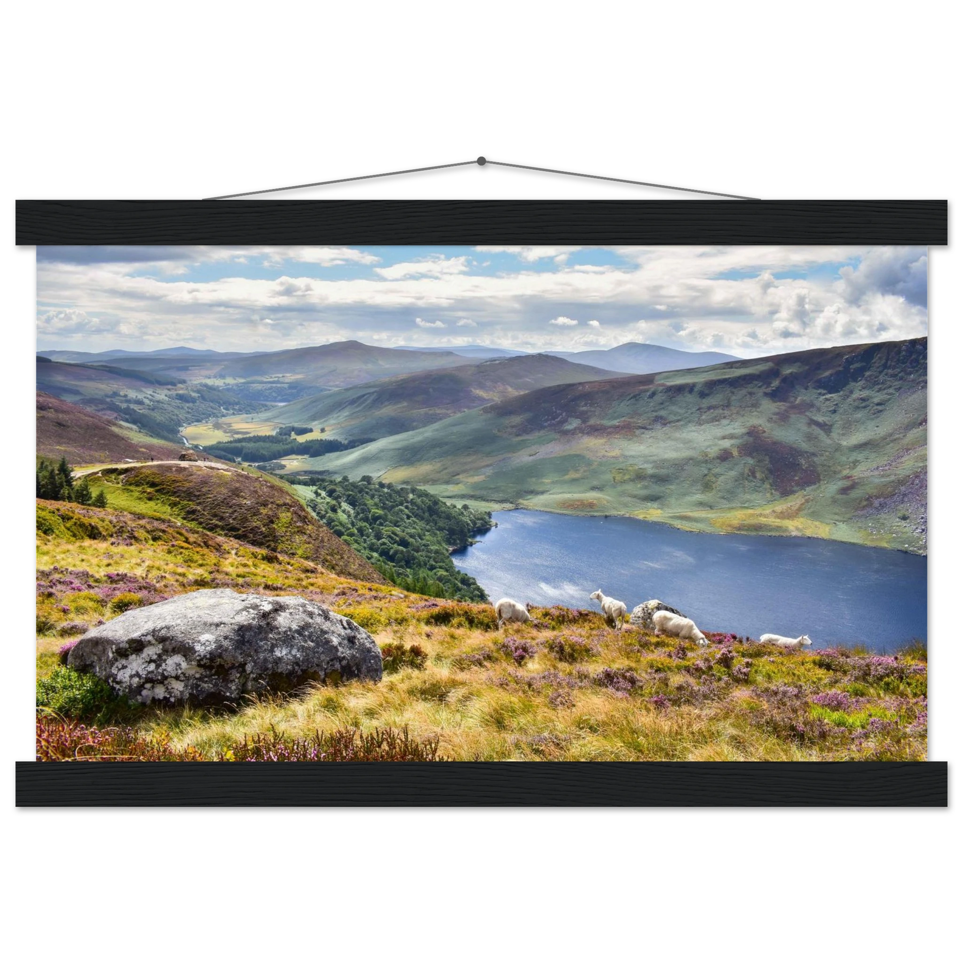 cc9e5568-9f20-4770-96e4-b223b47b482c