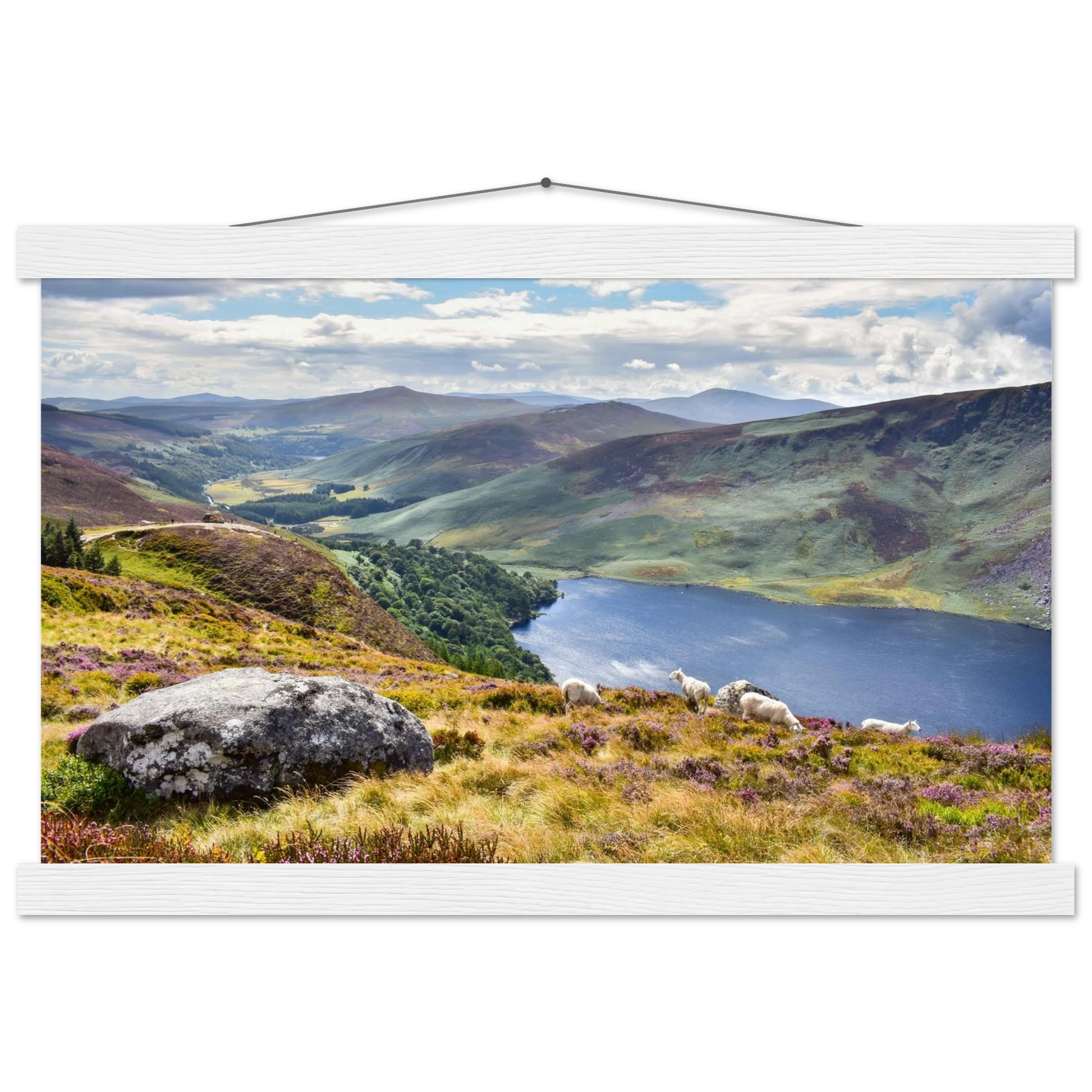 cca7c9d3-2022-44db-8a58-fbdda1687011