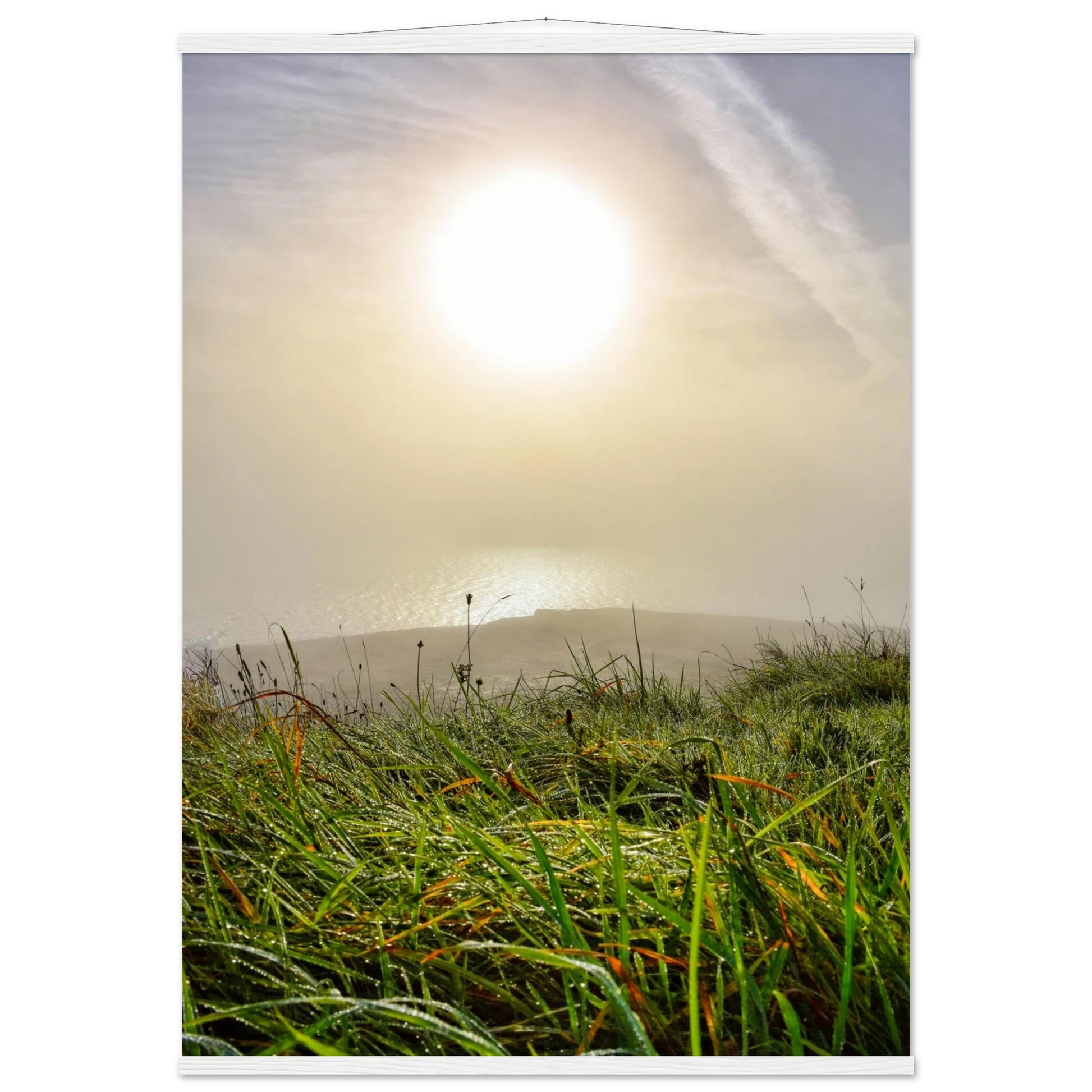 ccb56cbb-f0c3-4221-a1f7-c11237fc098a