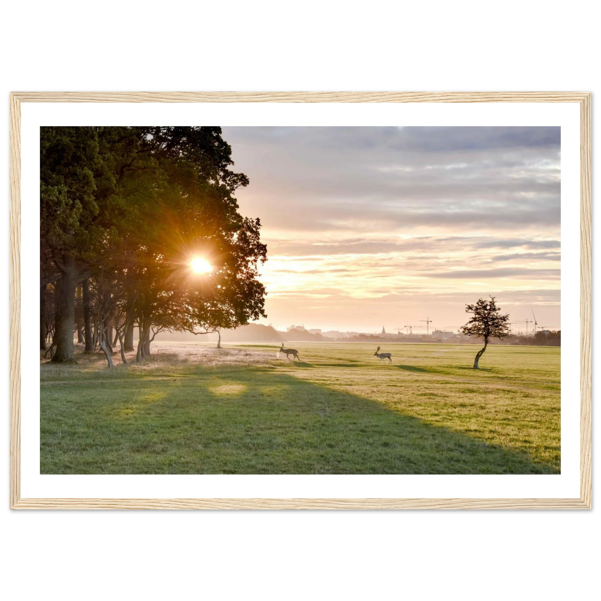 cd0adc4f-4d58-4199-bf95-bff3001c5c83