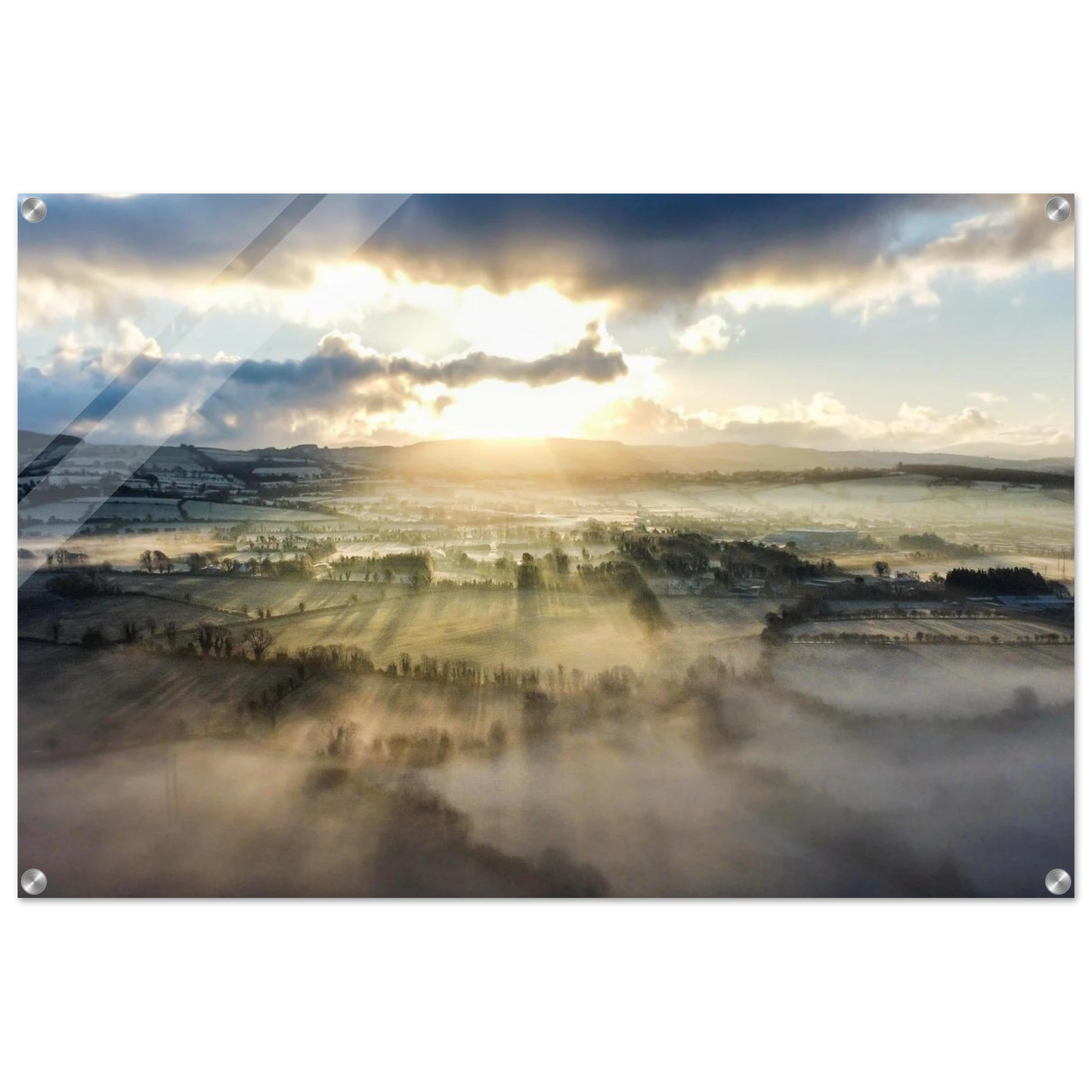 cd1eae56-9b39-4986-a509-a9178cdd6b3f