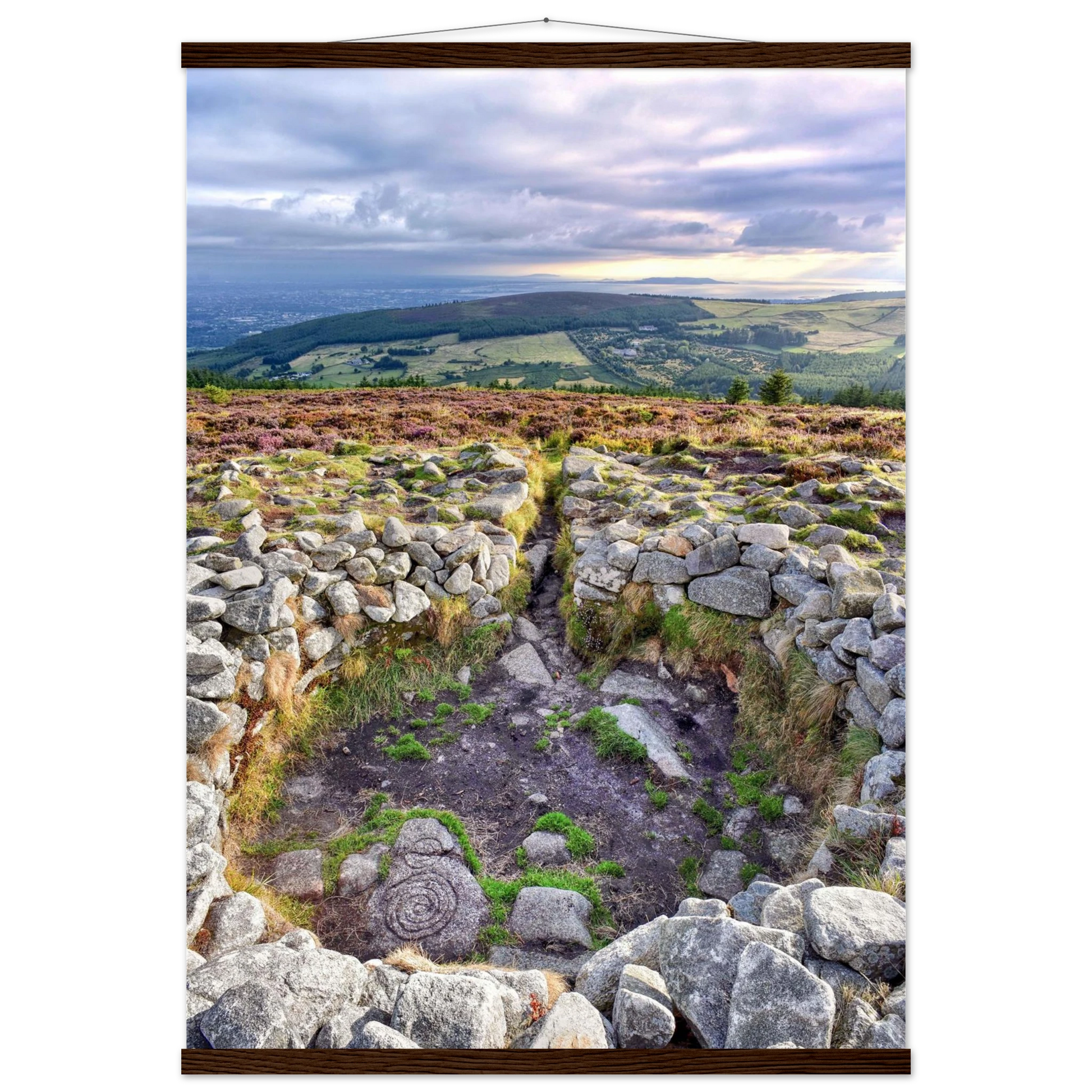 cd65e809-0dfc-473a-824a-370c93e5d185