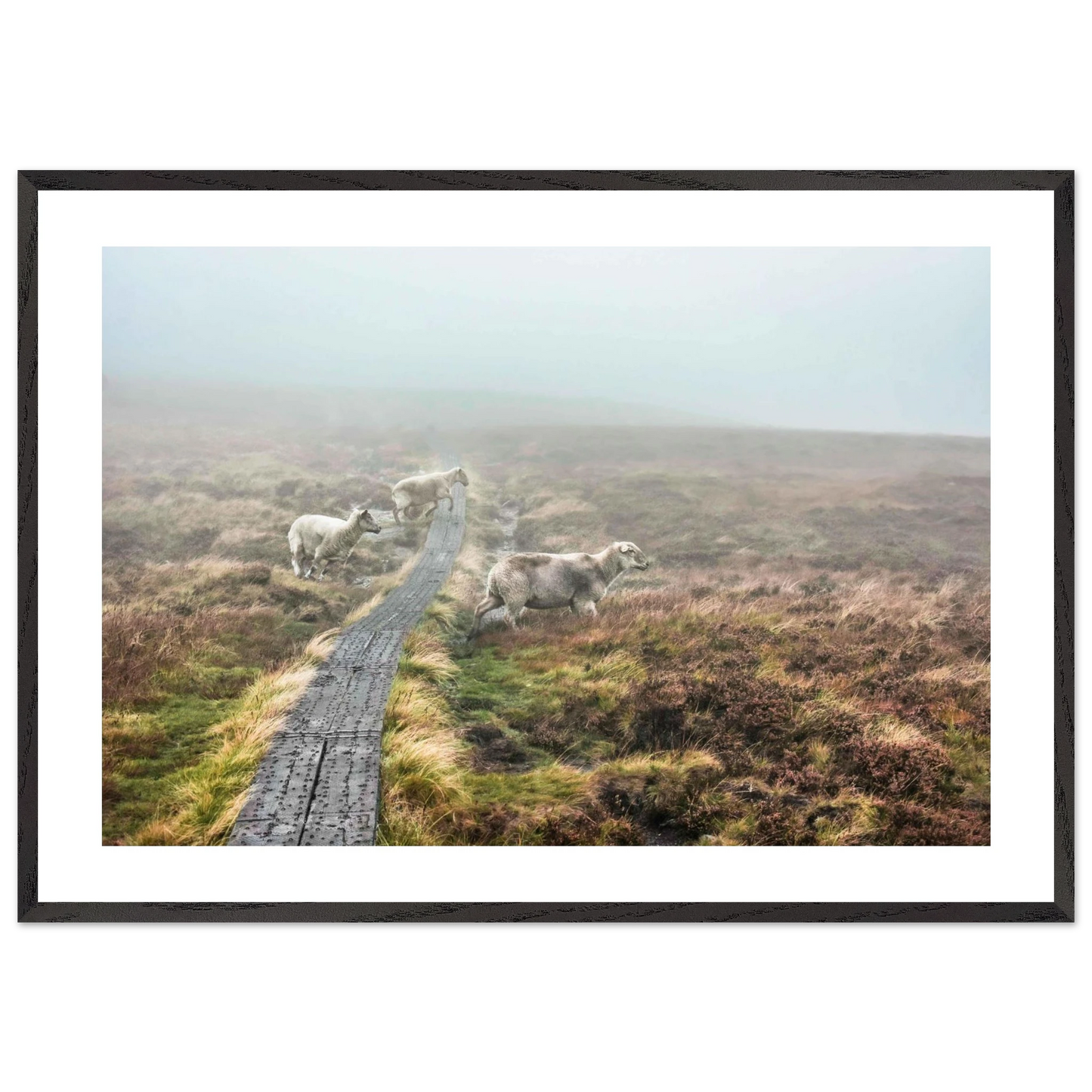 cda017ca-458e-4ee7-8187-082e64cef8d7