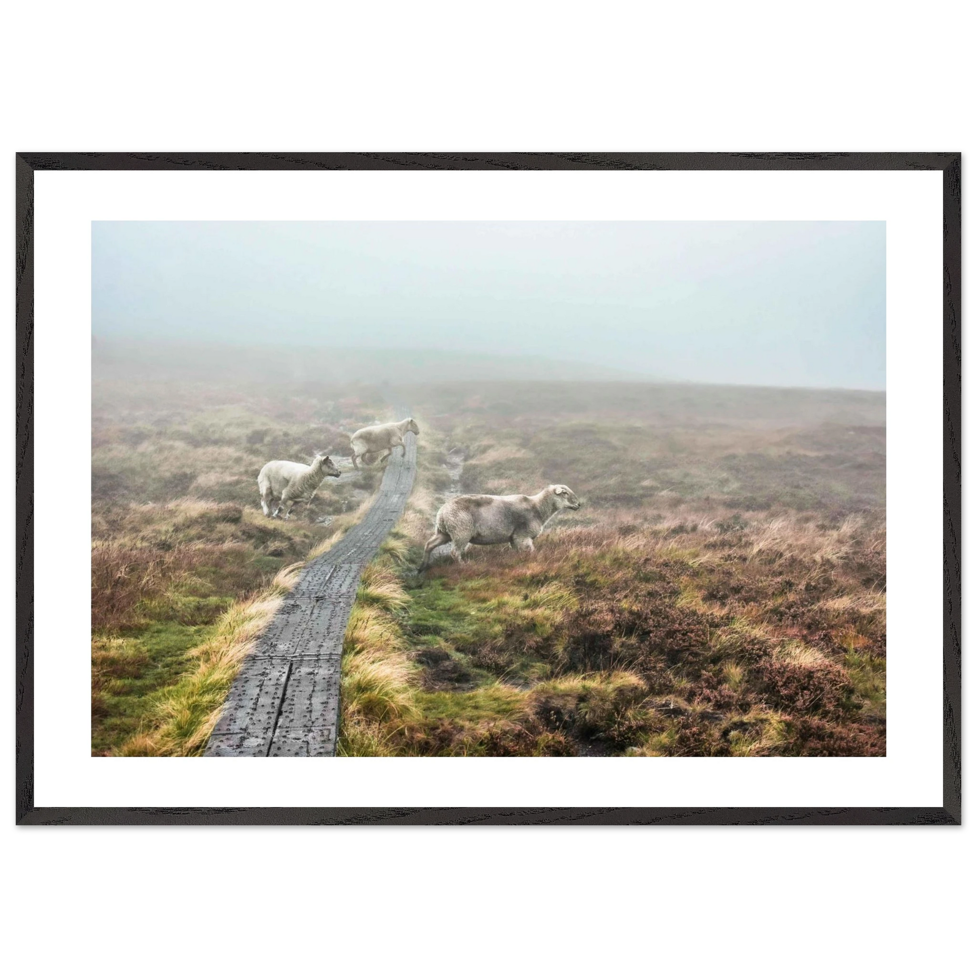 cda017ca-458e-4ee7-8187-082e64cef8d7