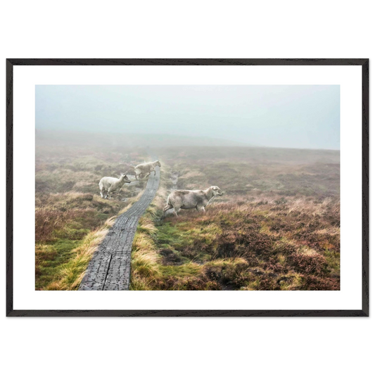 cda017ca-458e-4ee7-8187-082e64cef8d7