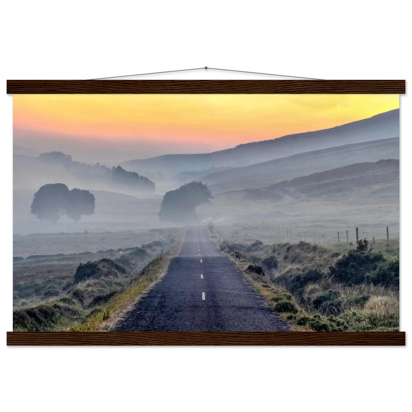 ce3736d7-45b3-4757-acea-d01aec3577a4