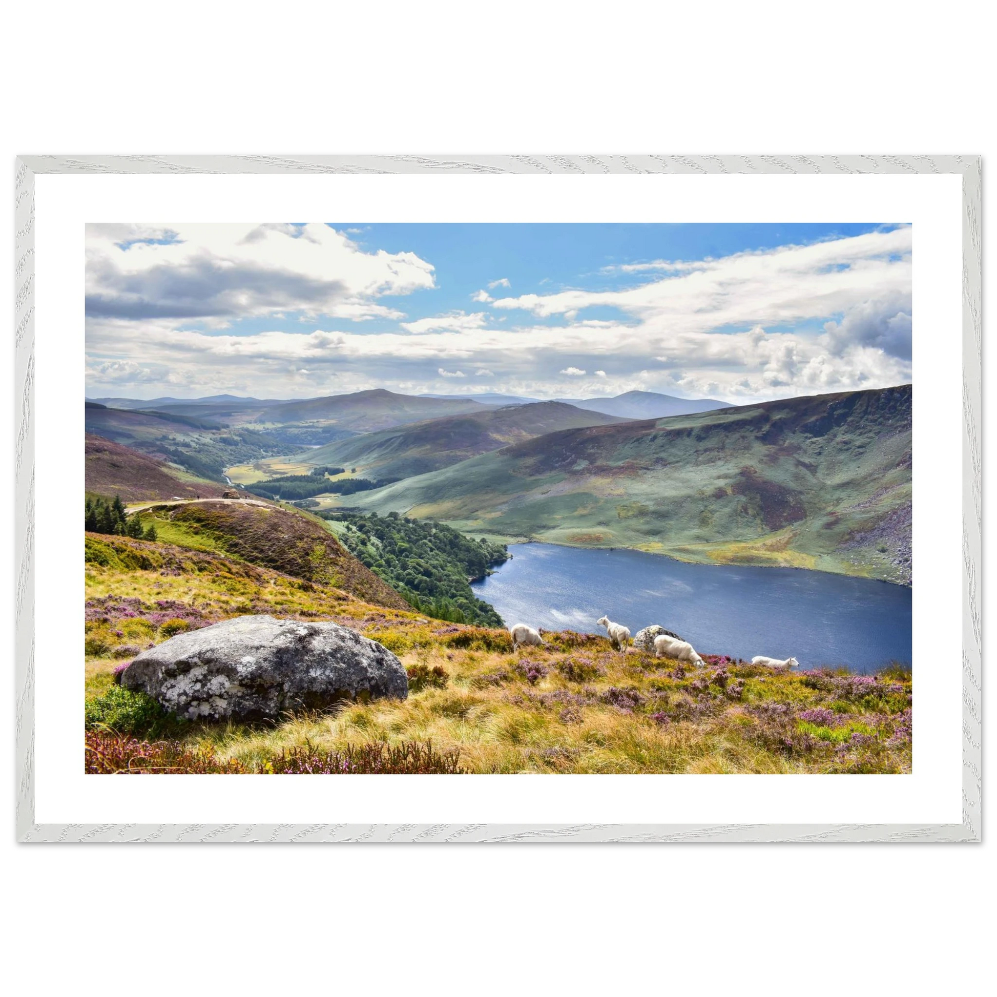 cf35136d-fc48-4326-89ff-548fa81b7e80