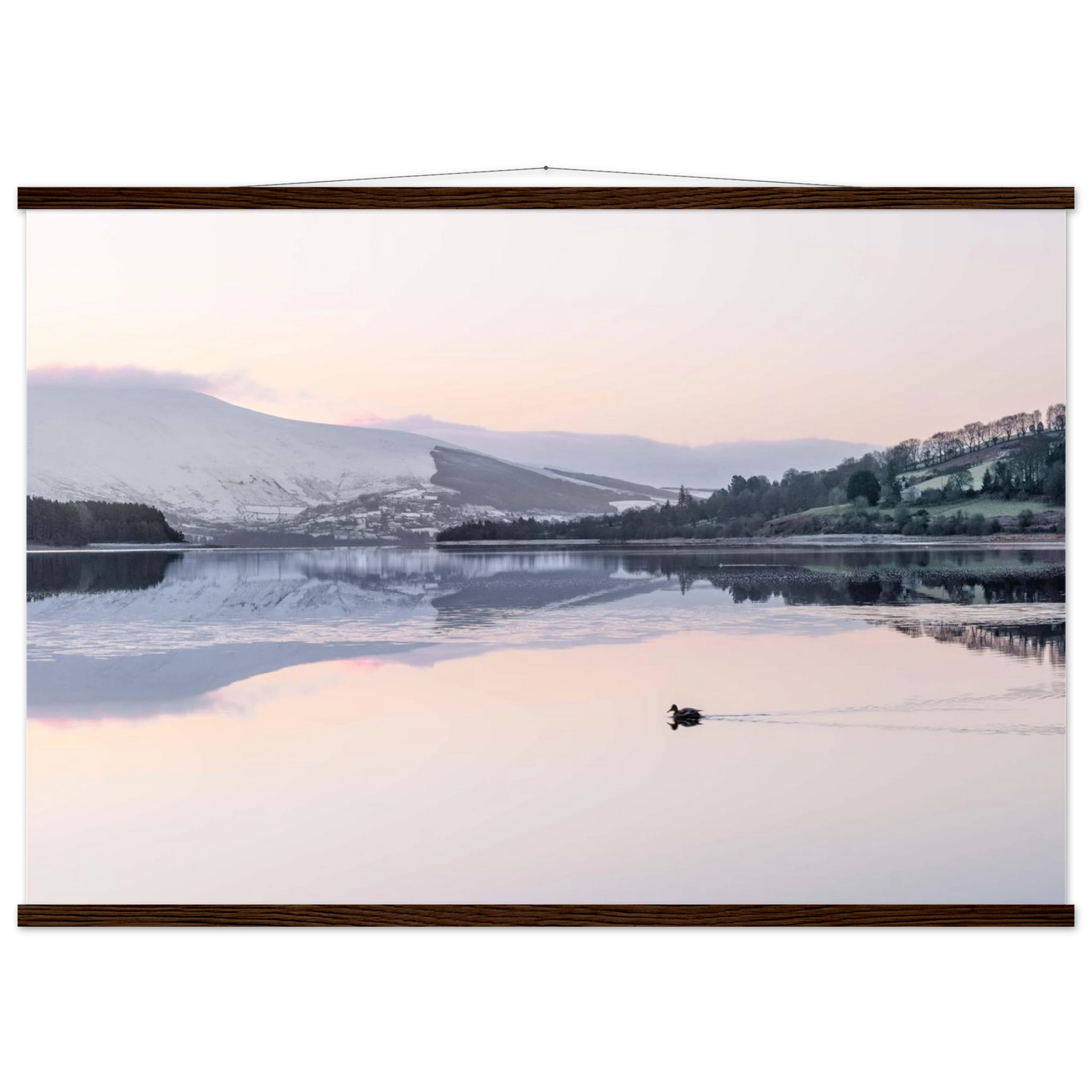 cf5c2af7-0906-4fbd-a71a-d6176c59f642