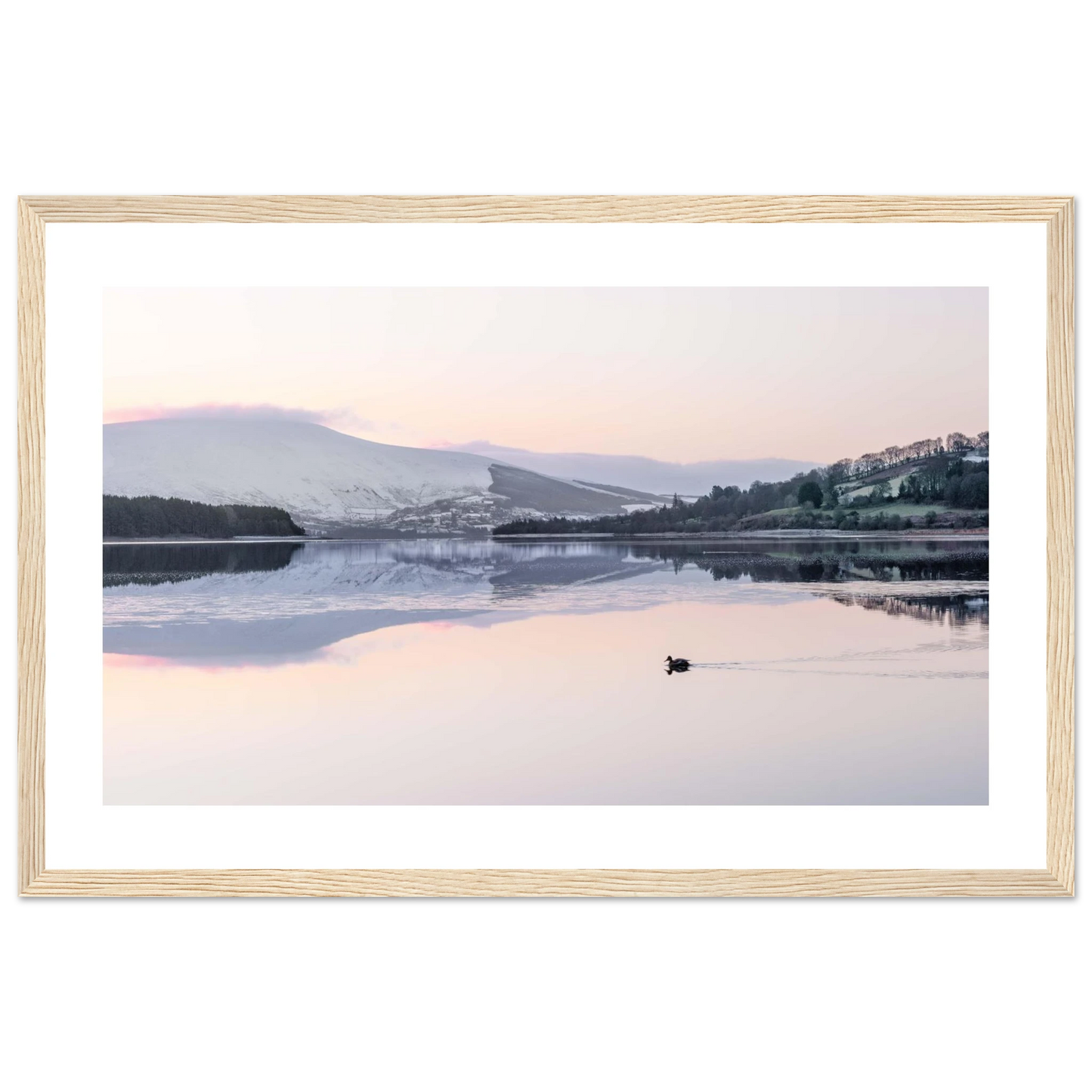 cfc1df67-d4fa-4a34-b976-fa287a976583