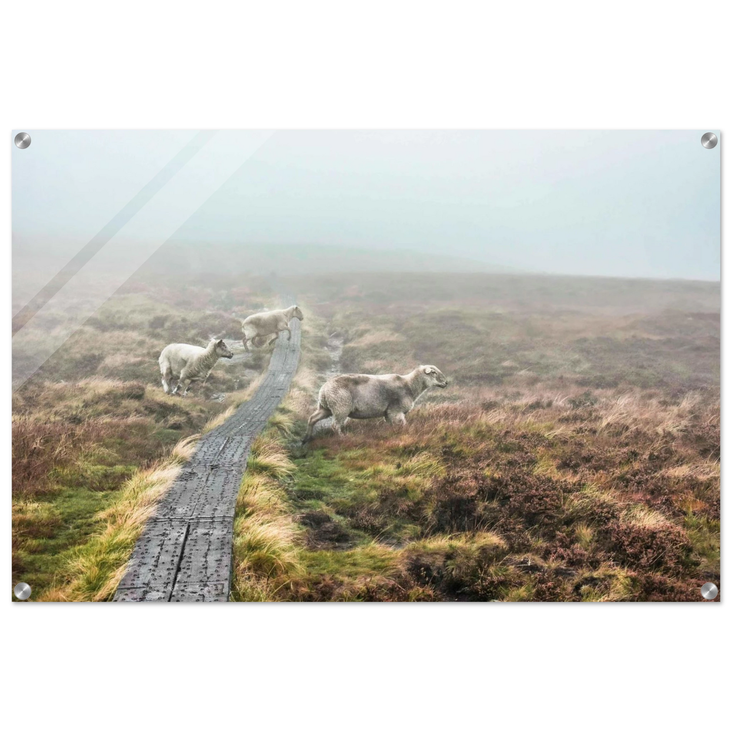 cfd1e8fc-aa86-400f-ade1-6dcdf5da6147